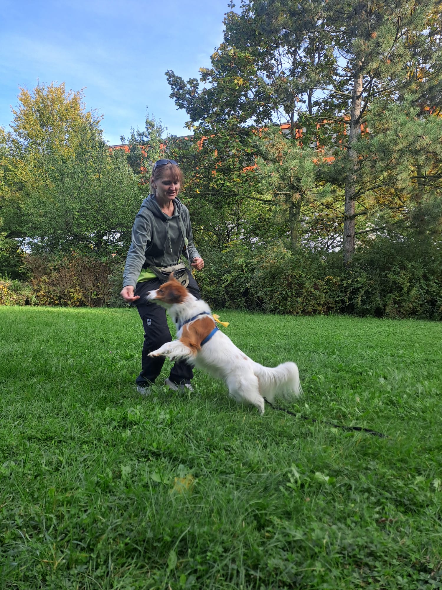 Marta Skálová - Výcvik psů foto 6