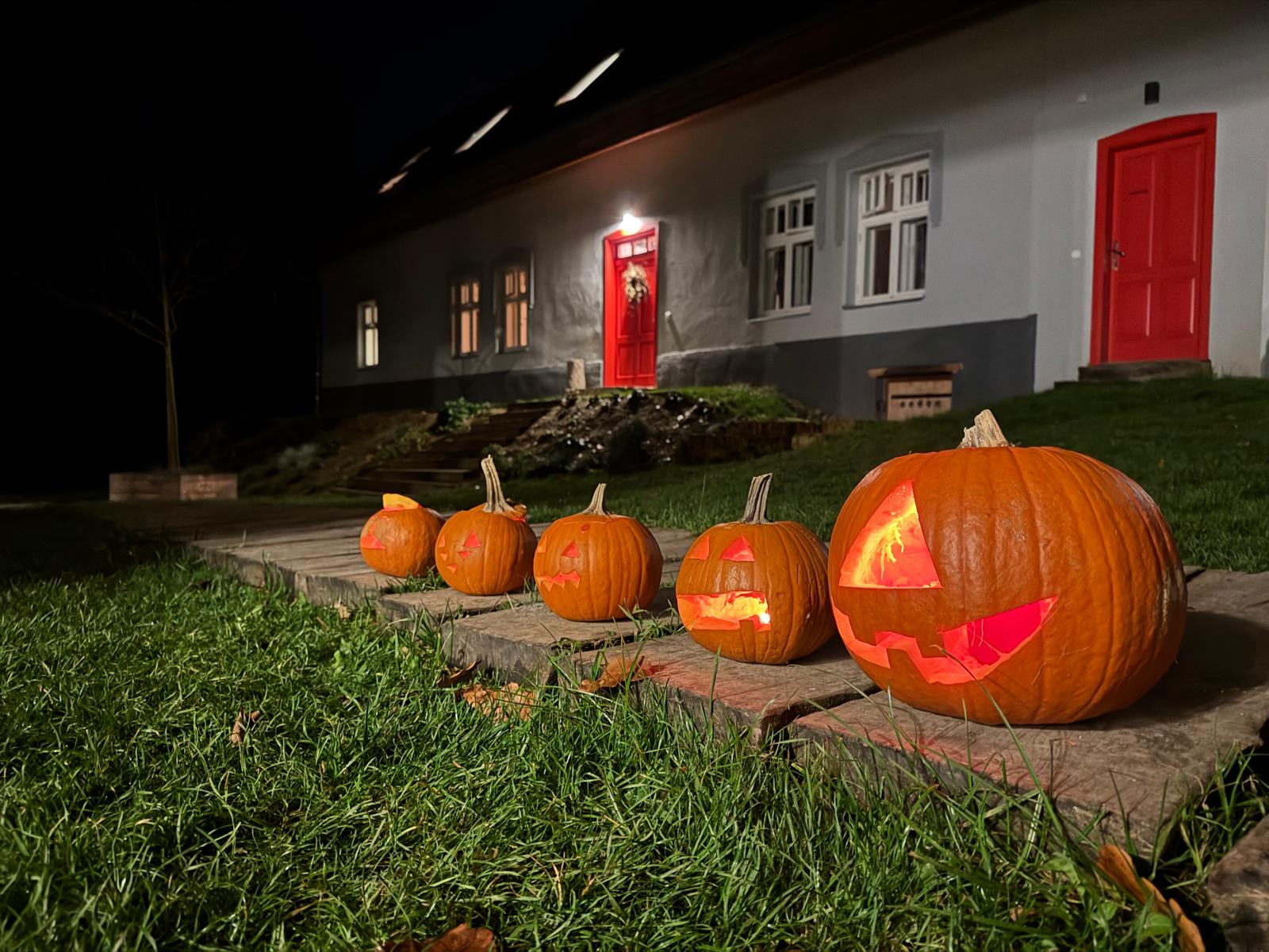 Samota Hojšín foto 4