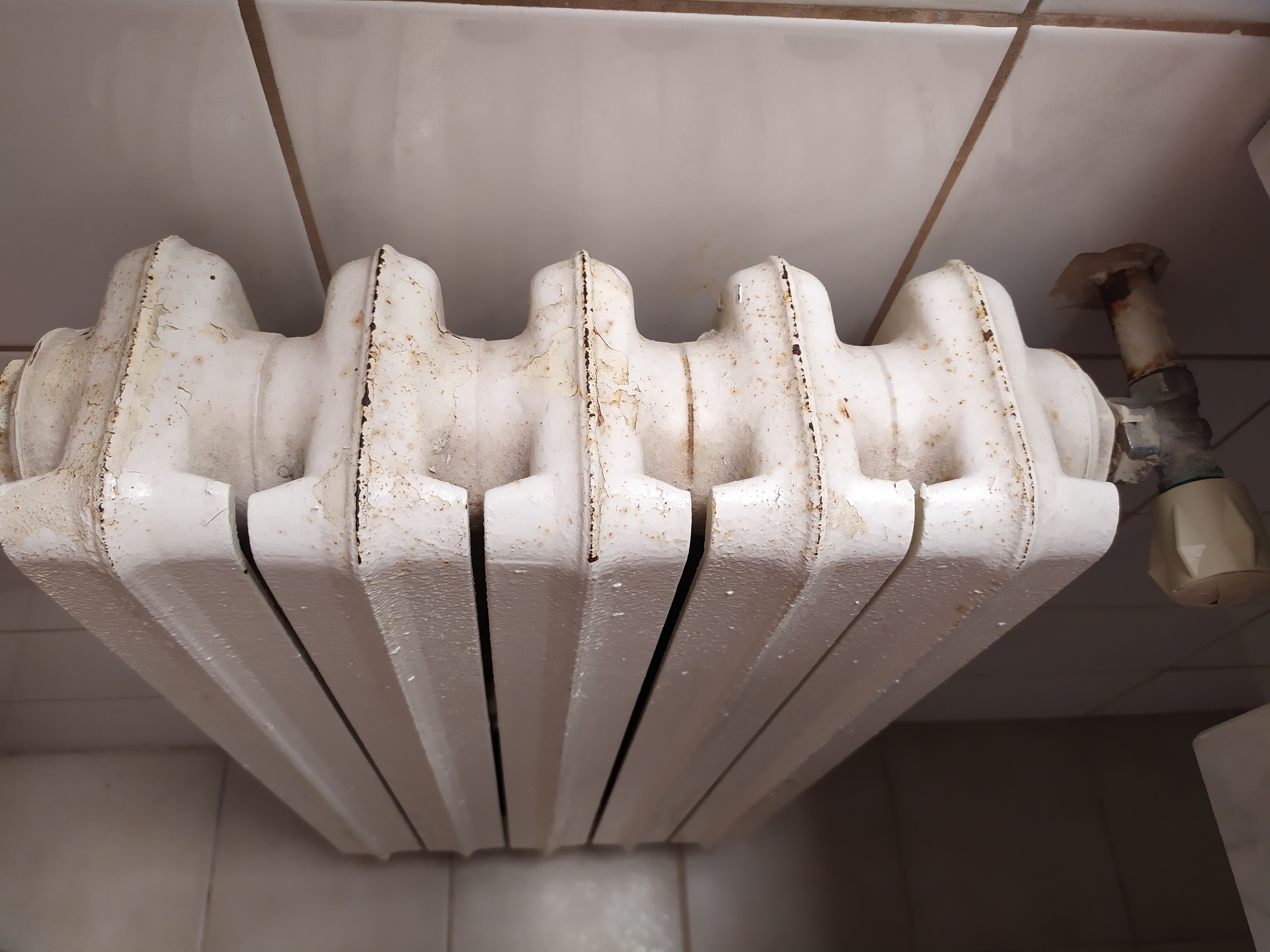 LUXURY FAMILY HOTEL Bílá Labuť foto 6