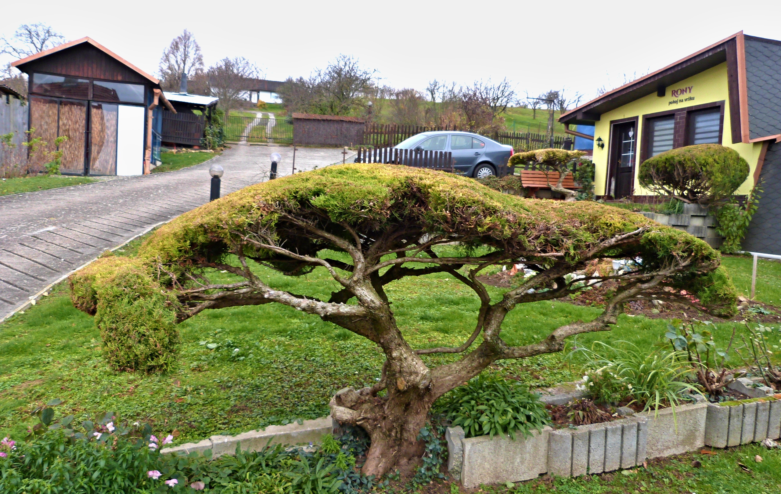 Penzion Rony foto 5