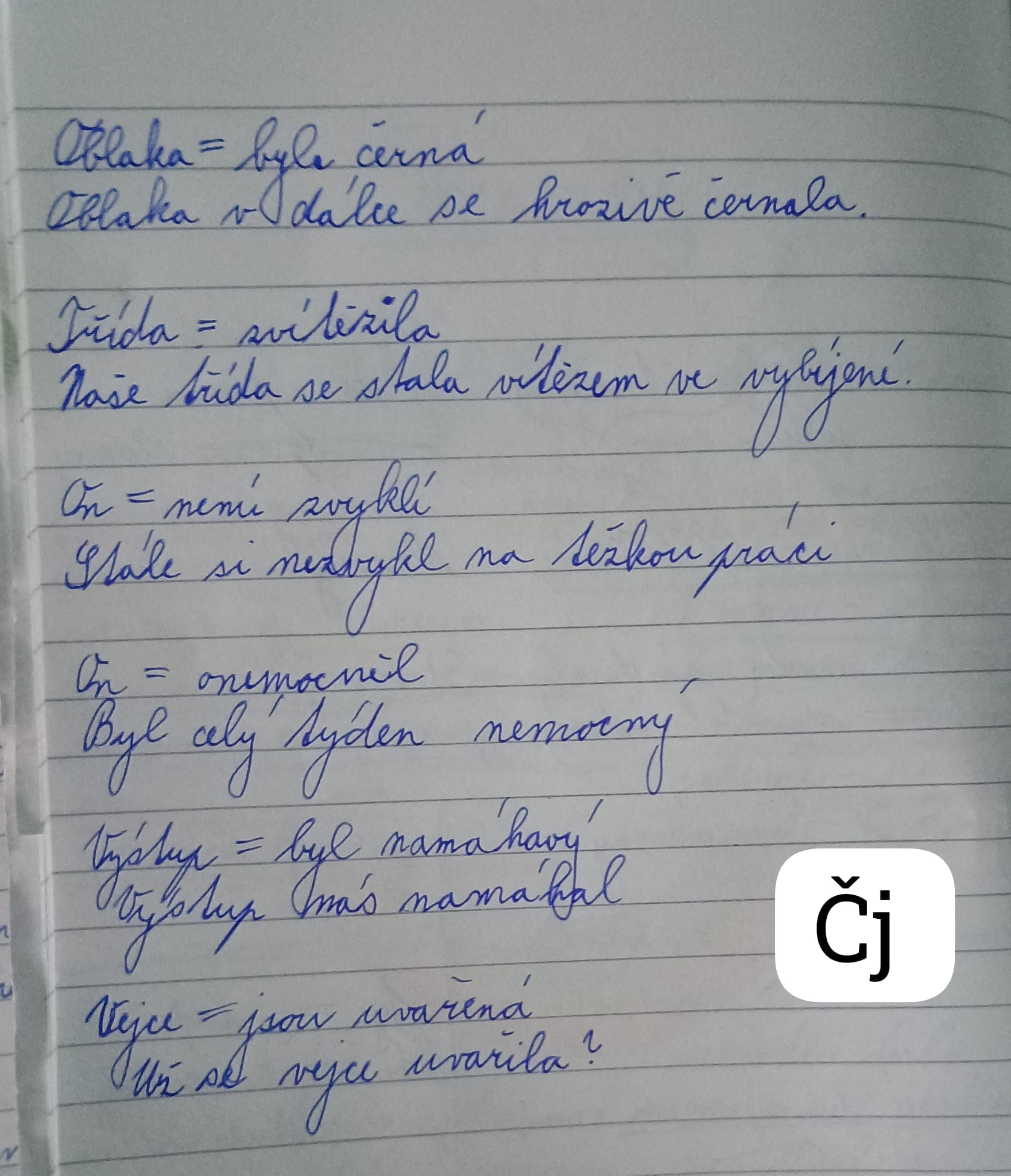 ZŠ Zábřeh, Severovýchod foto 6
