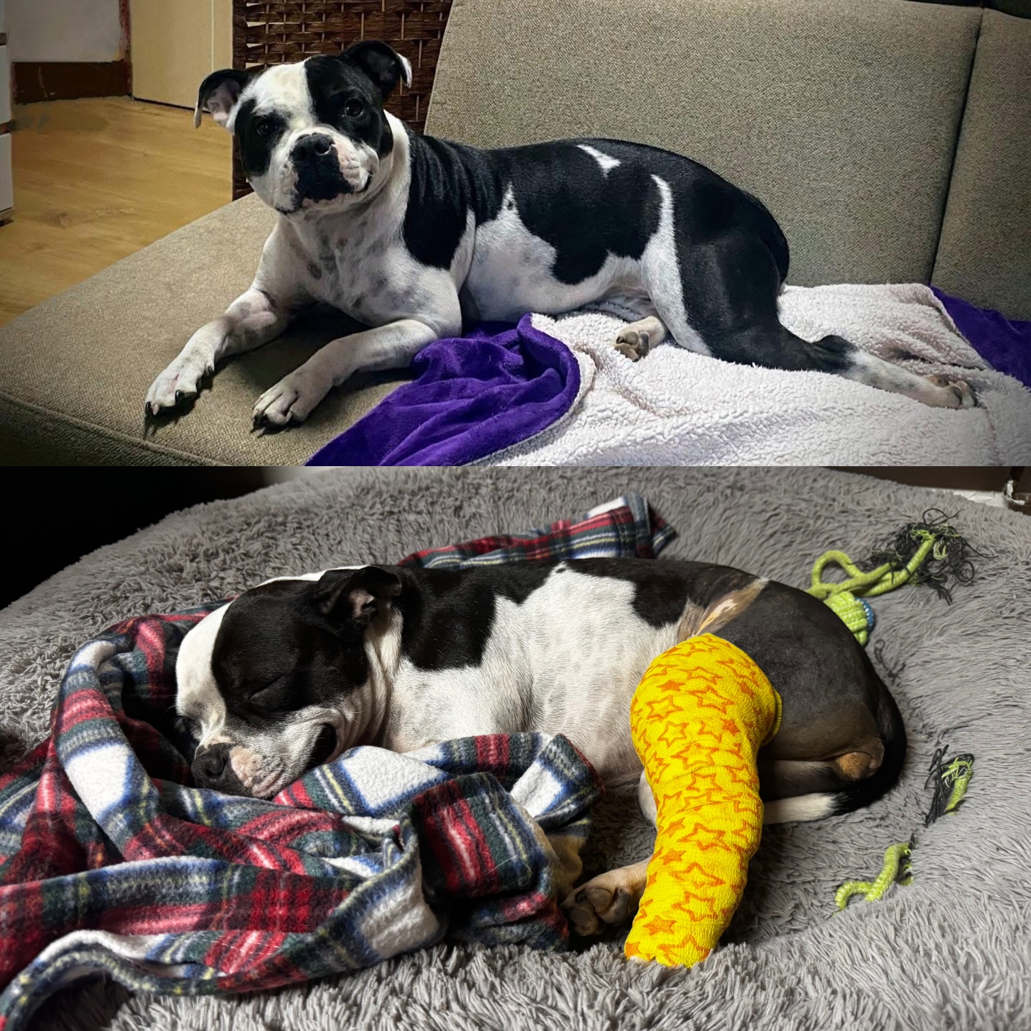Veterinární klinika SUCHDOL, s.r.o. foto 2
