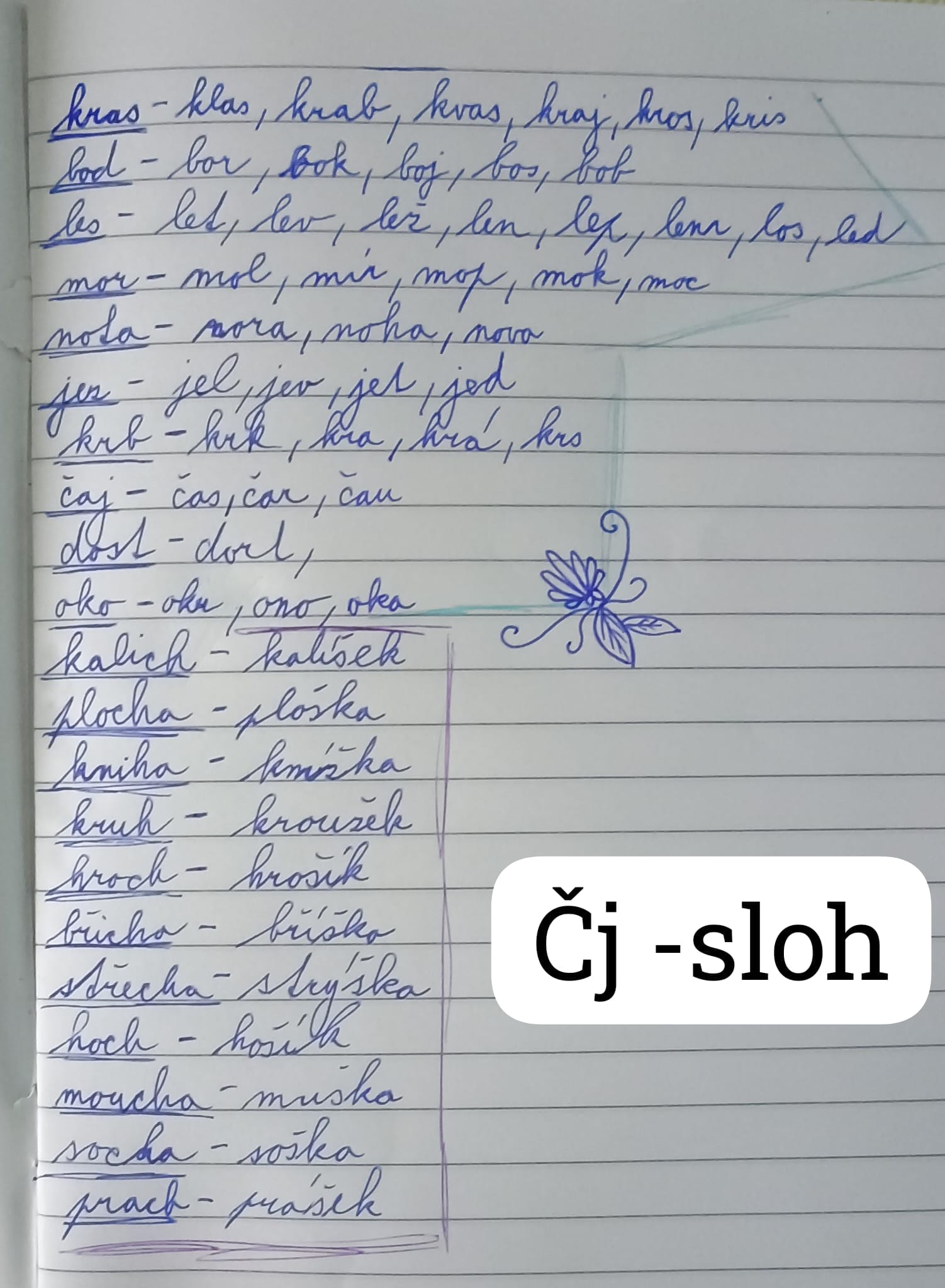 ZŠ Zábřeh, Severovýchod foto 4