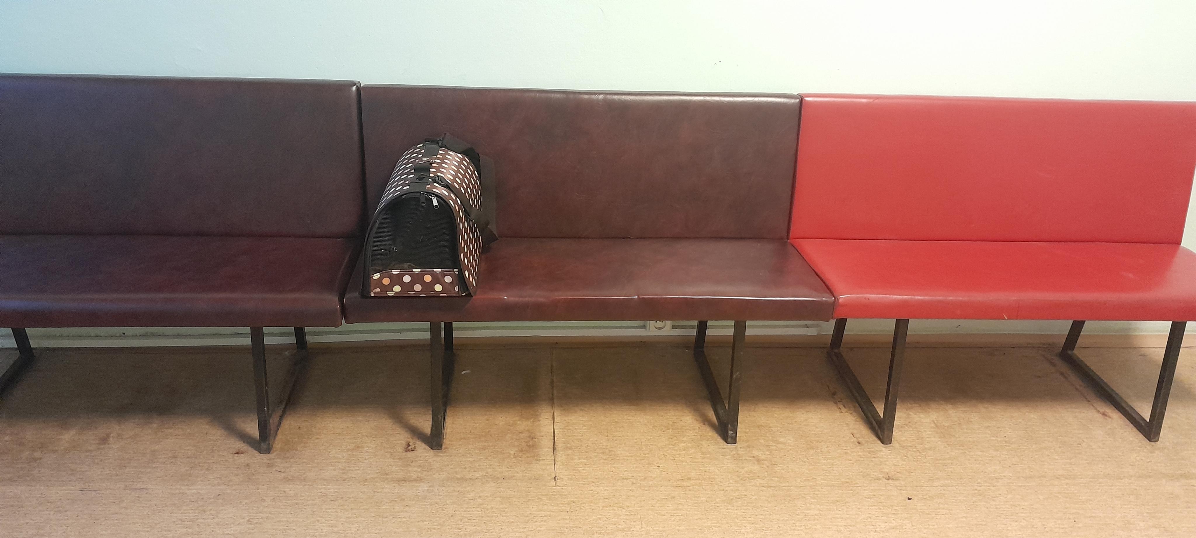 Pro Anima s.r.o. foto 2