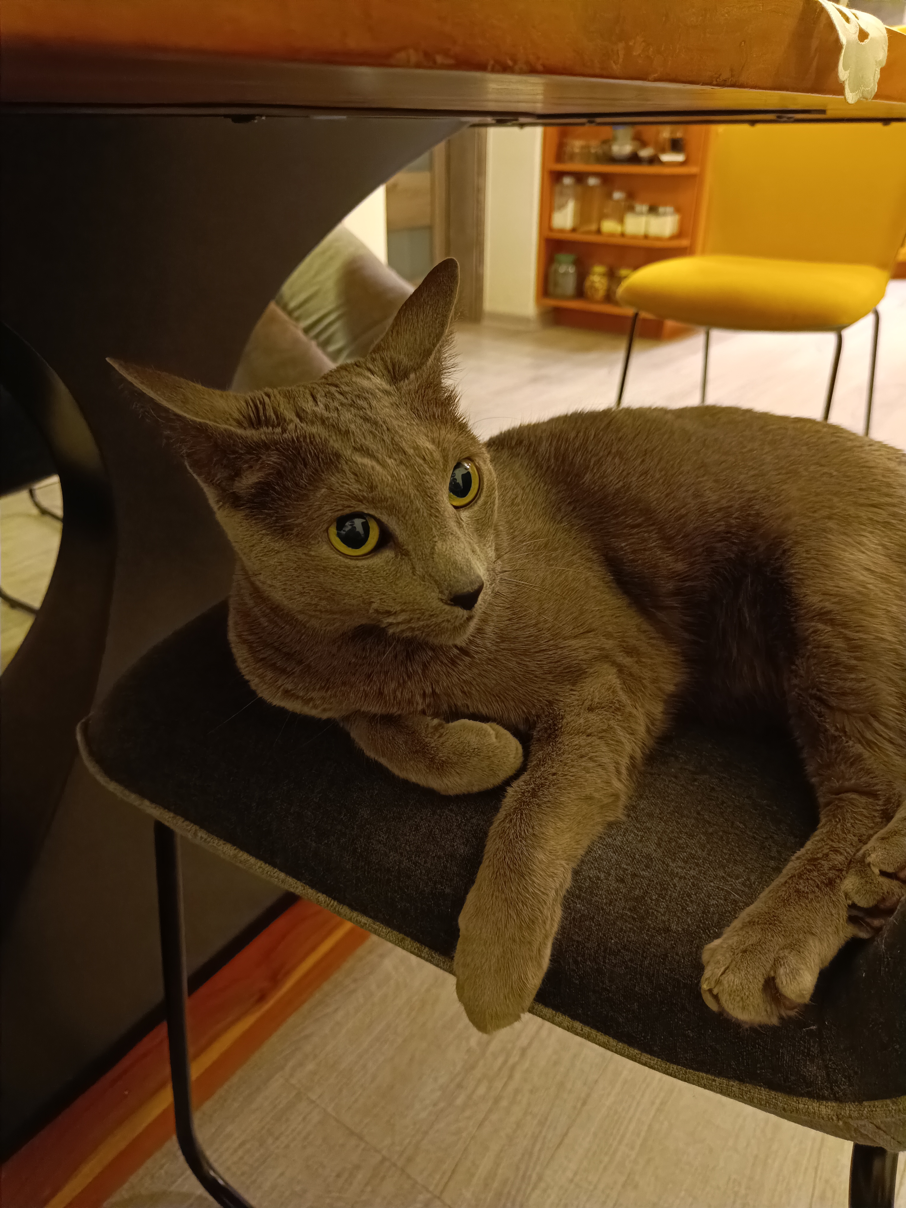 MVDr. Petra Šinová foto 2