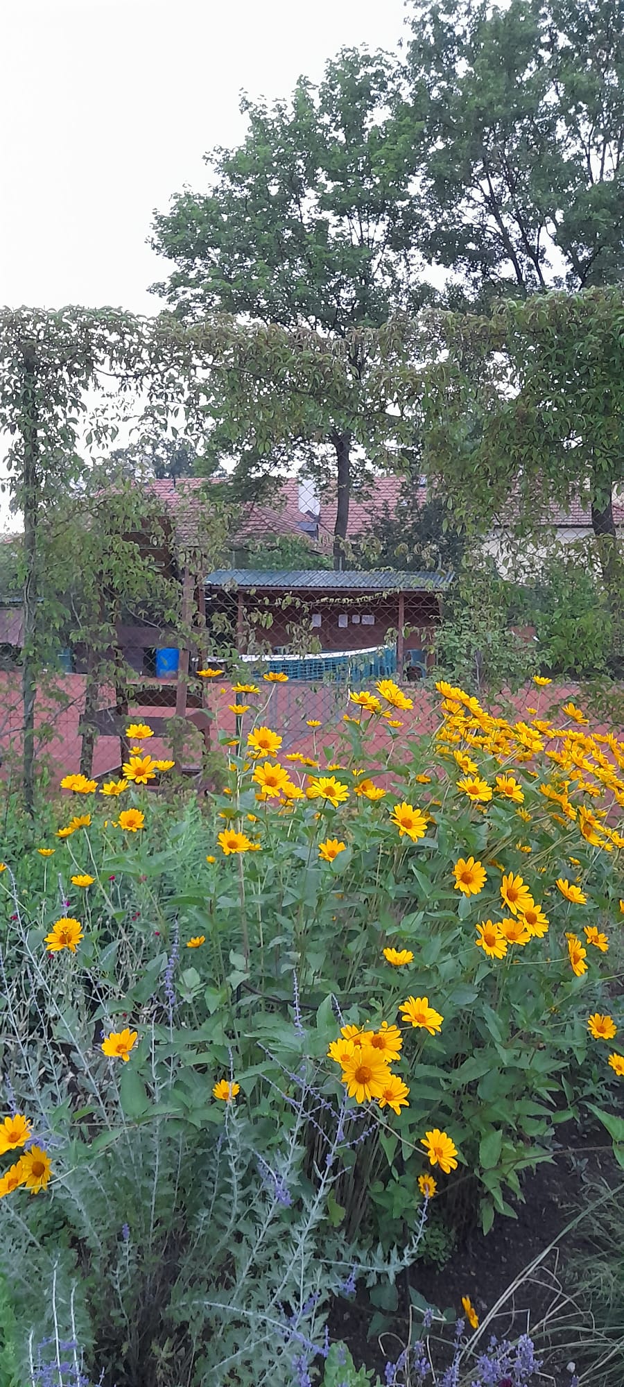 Tenisový kurt U Nového Zámku foto 5