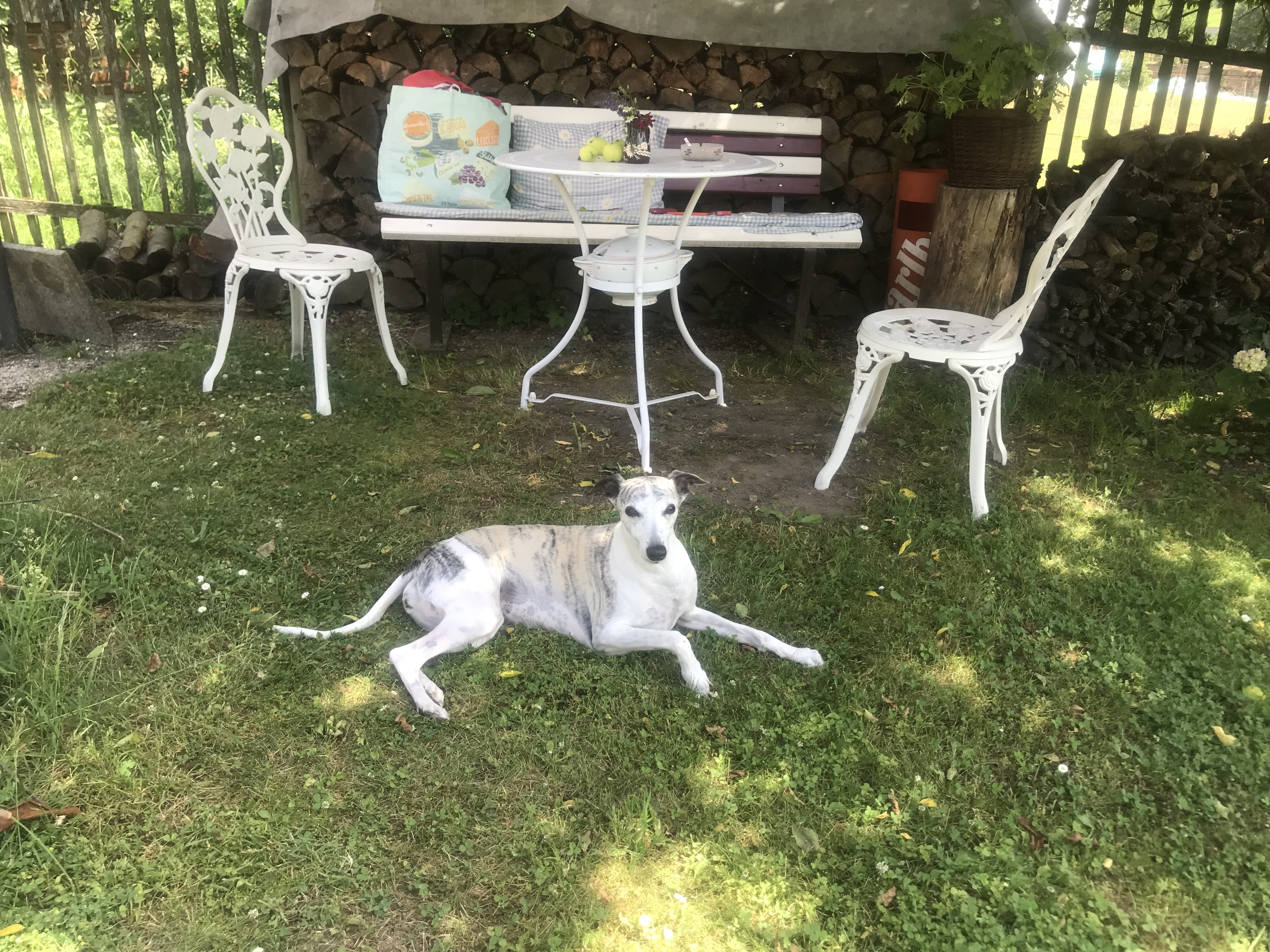 Uno Veterinární Klinika foto 2