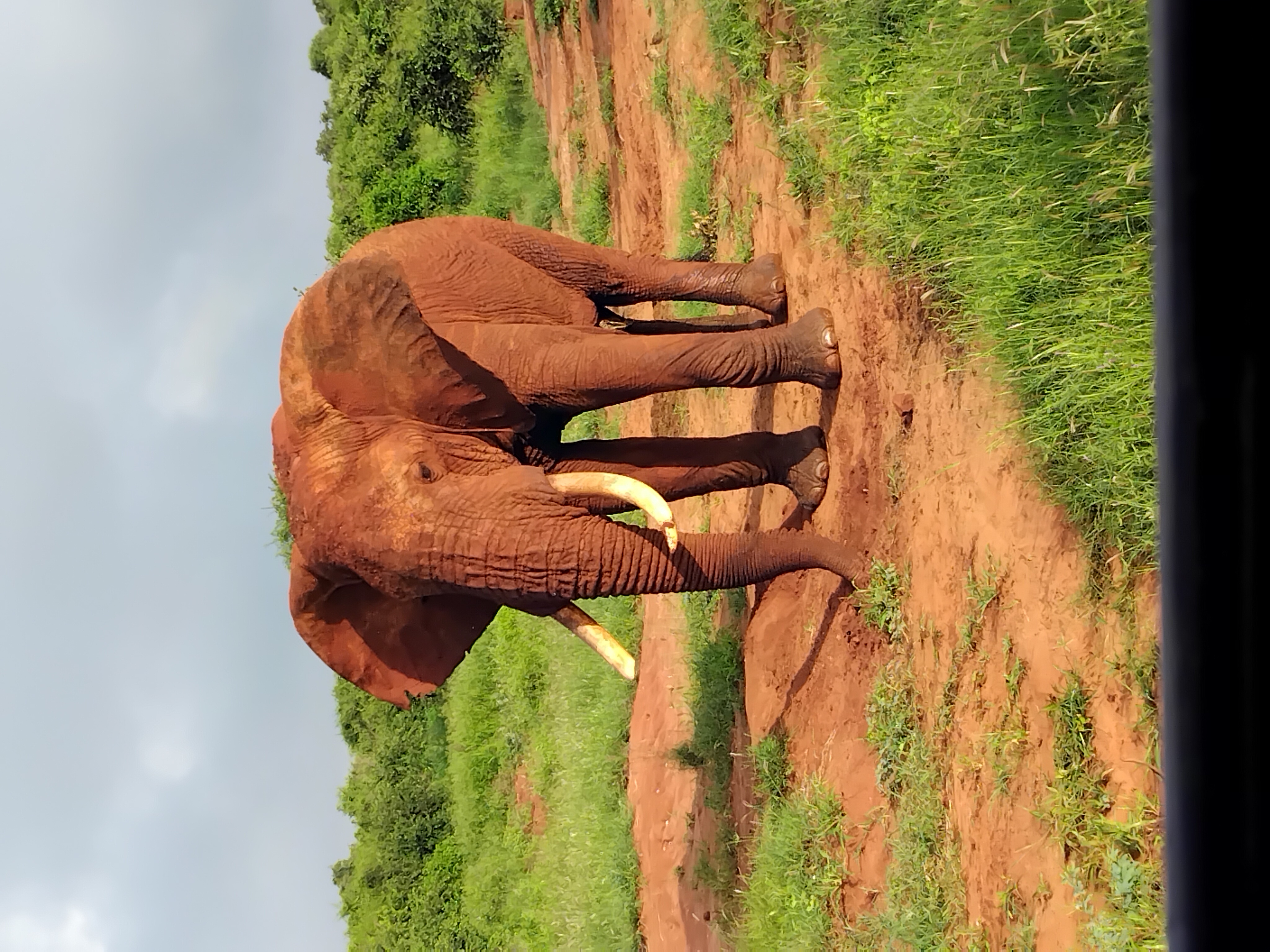 LC KONTAKT s.r.o. cestovní agentura foto 5