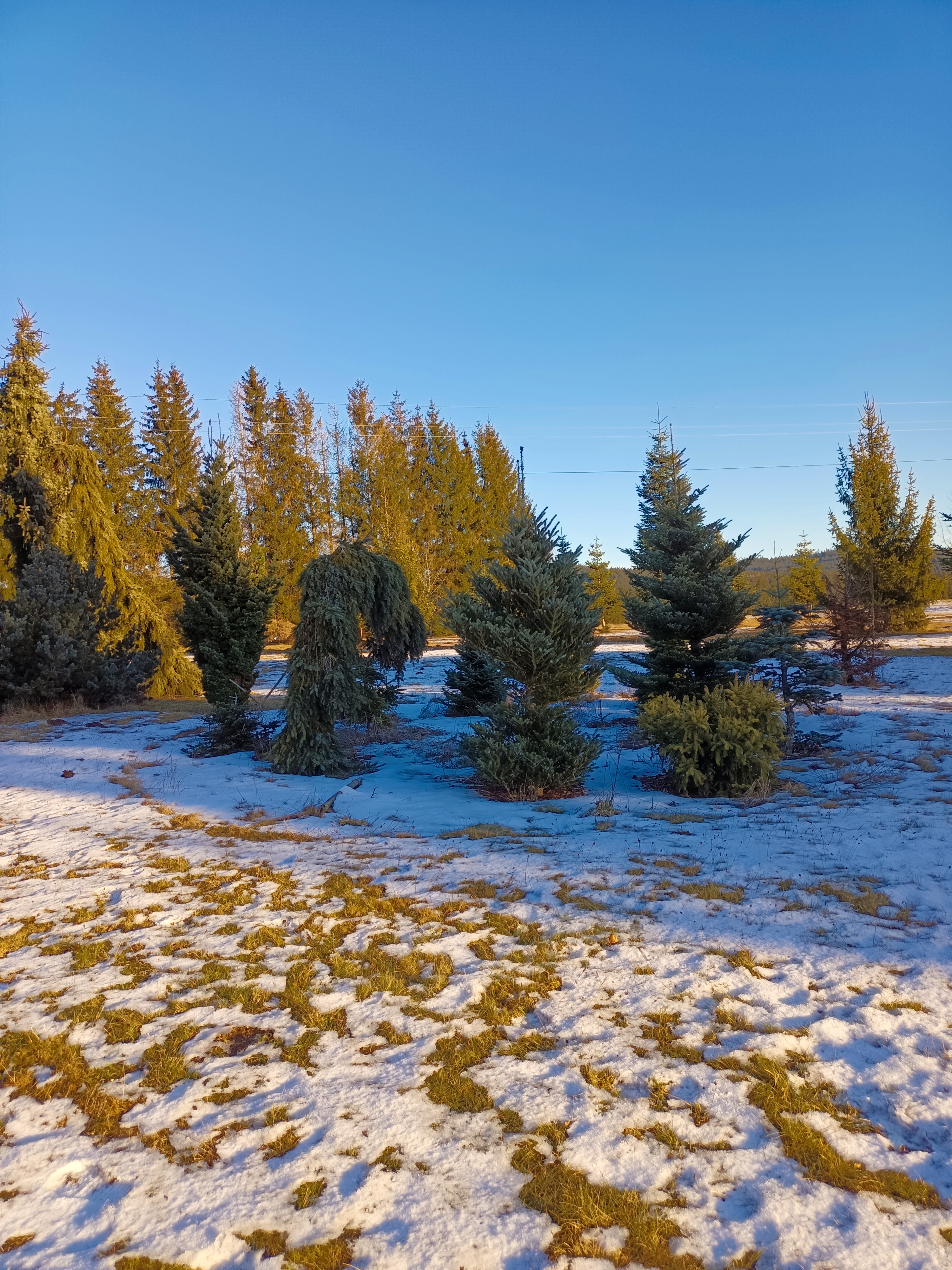 Design Penzion VEJROVNA foto 6