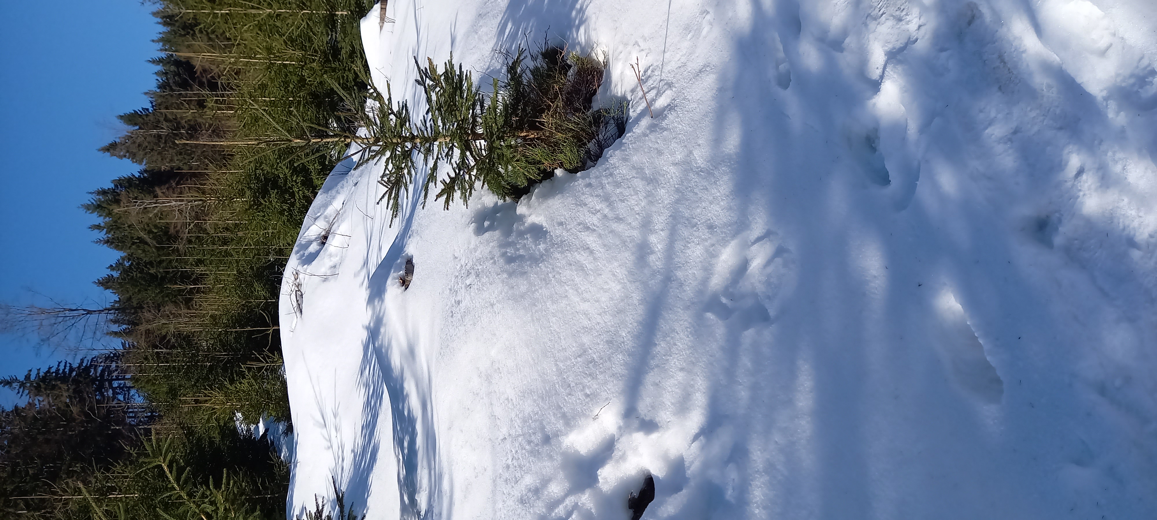 Penzion Pod strání foto 4