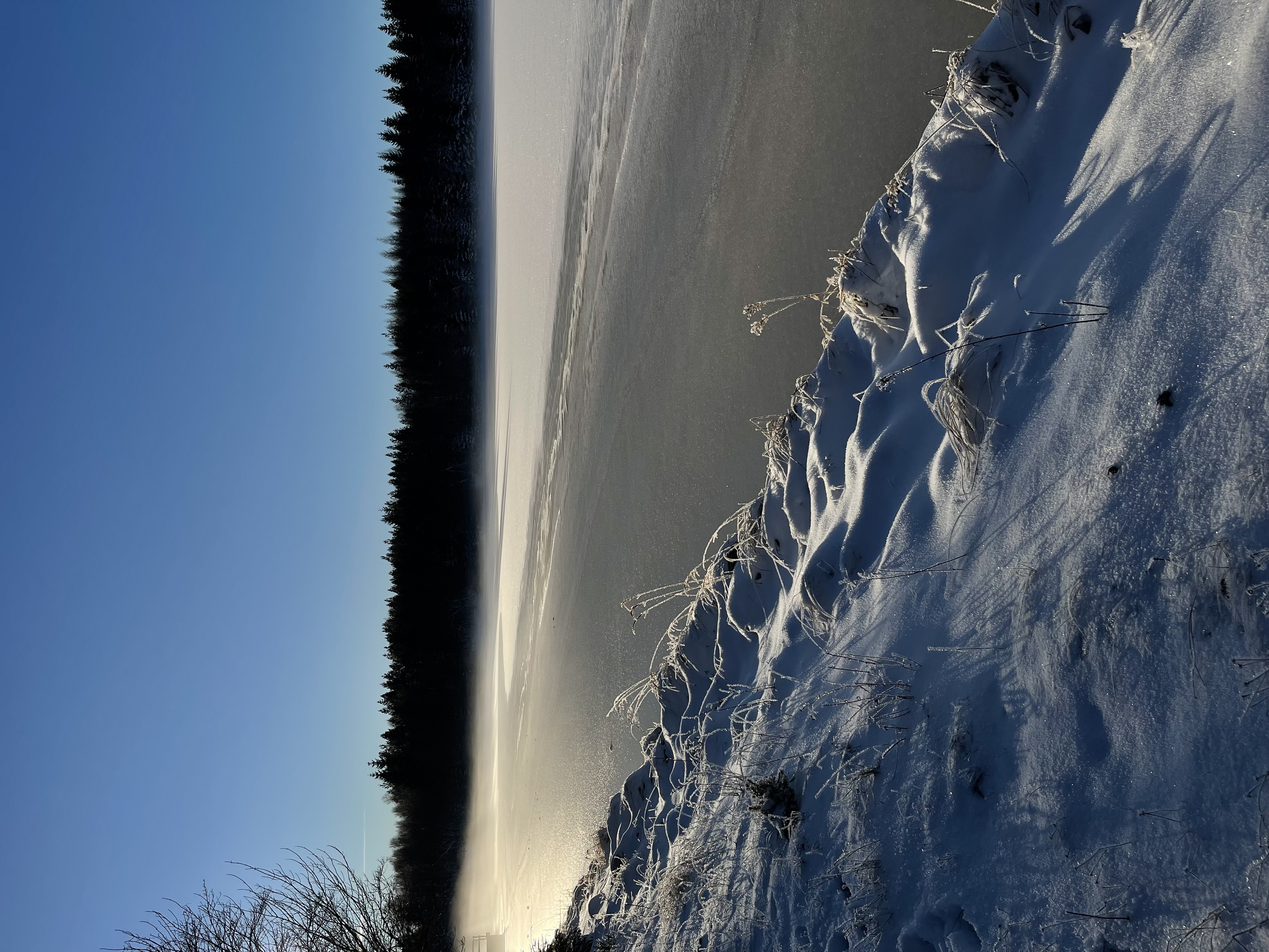 Lesovna Nový dům foto 6