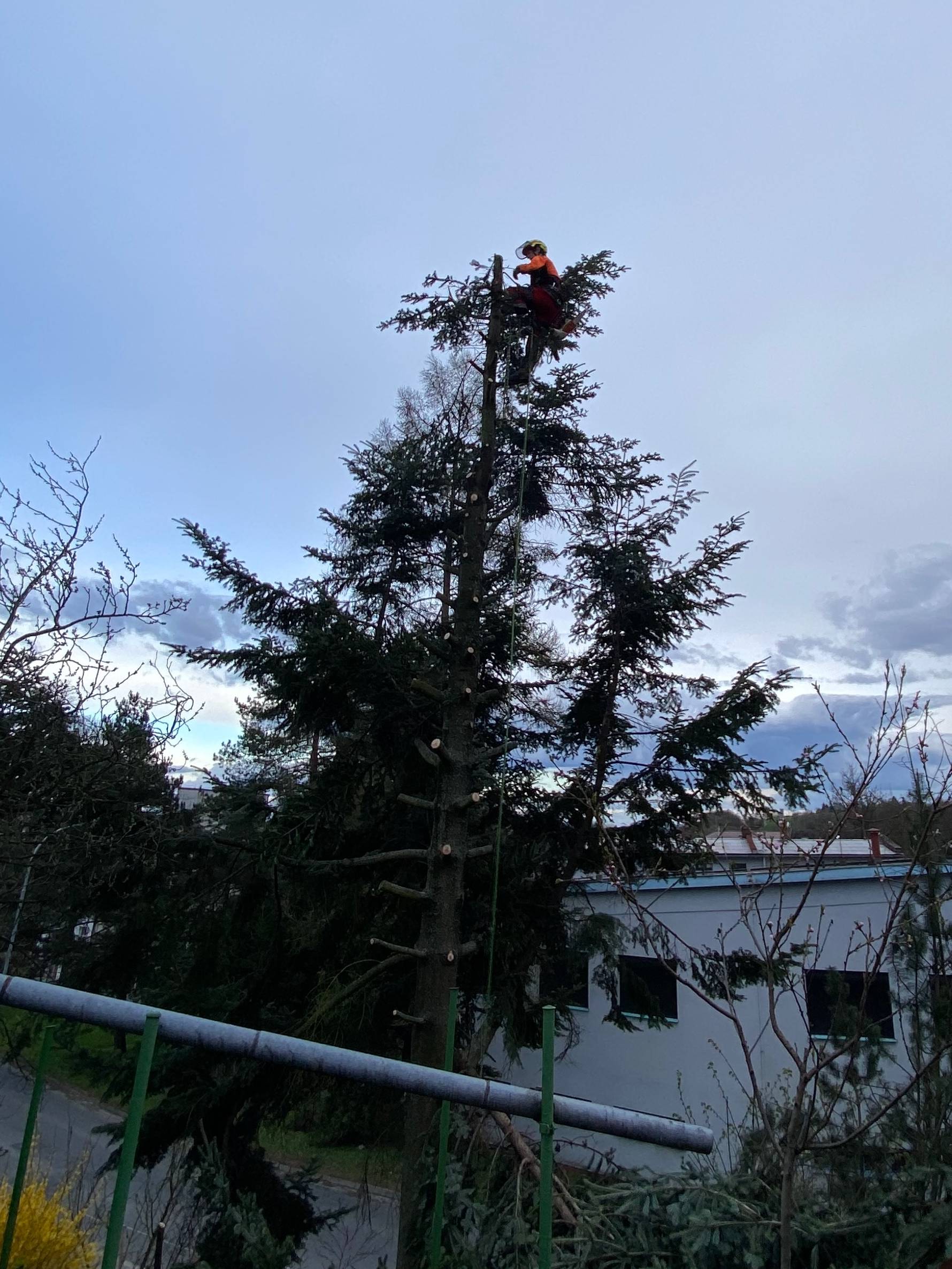 ArboBlazek.cz foto 6