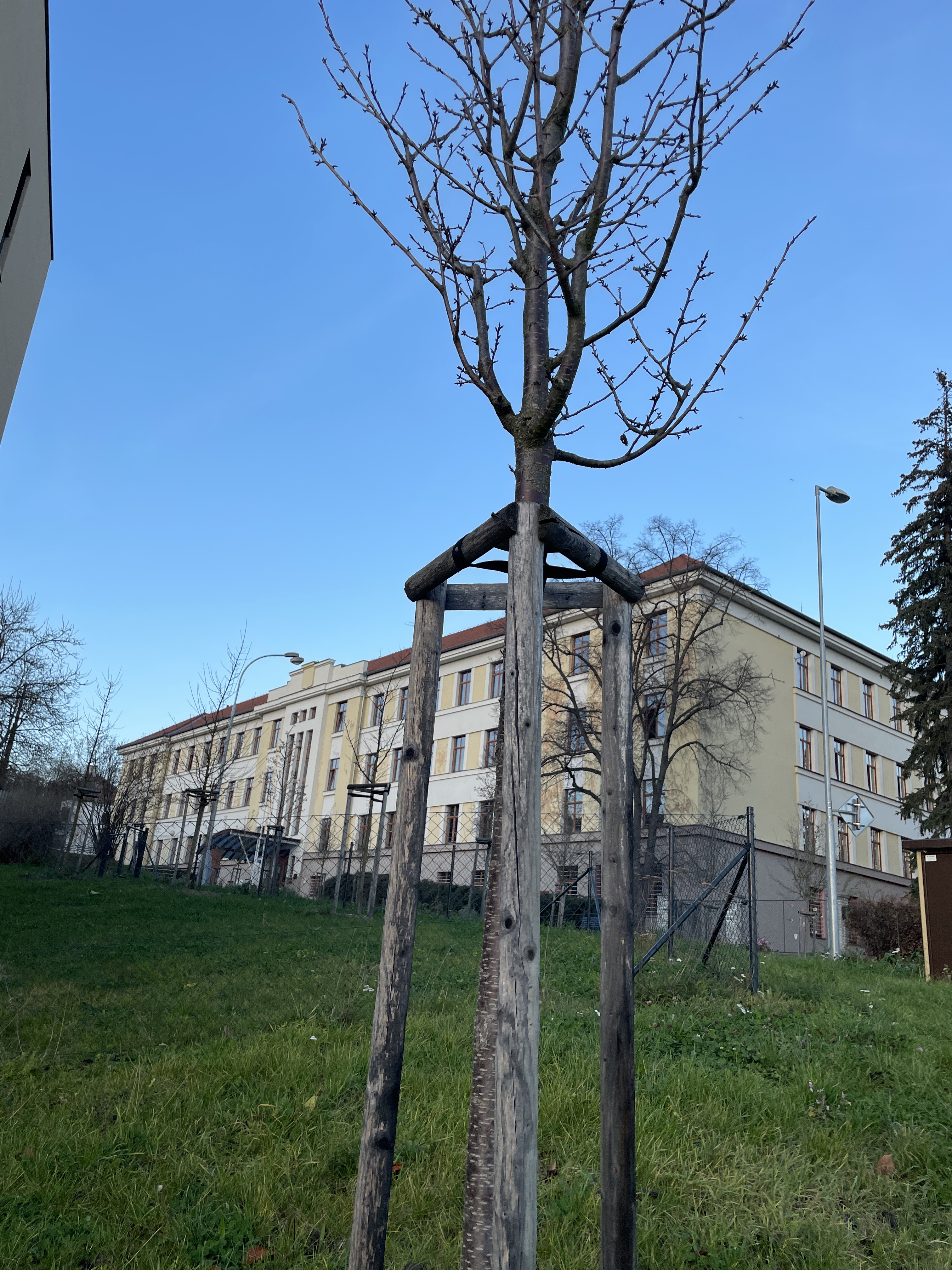 Gymnázium Joachima Barranda Beroun foto 4