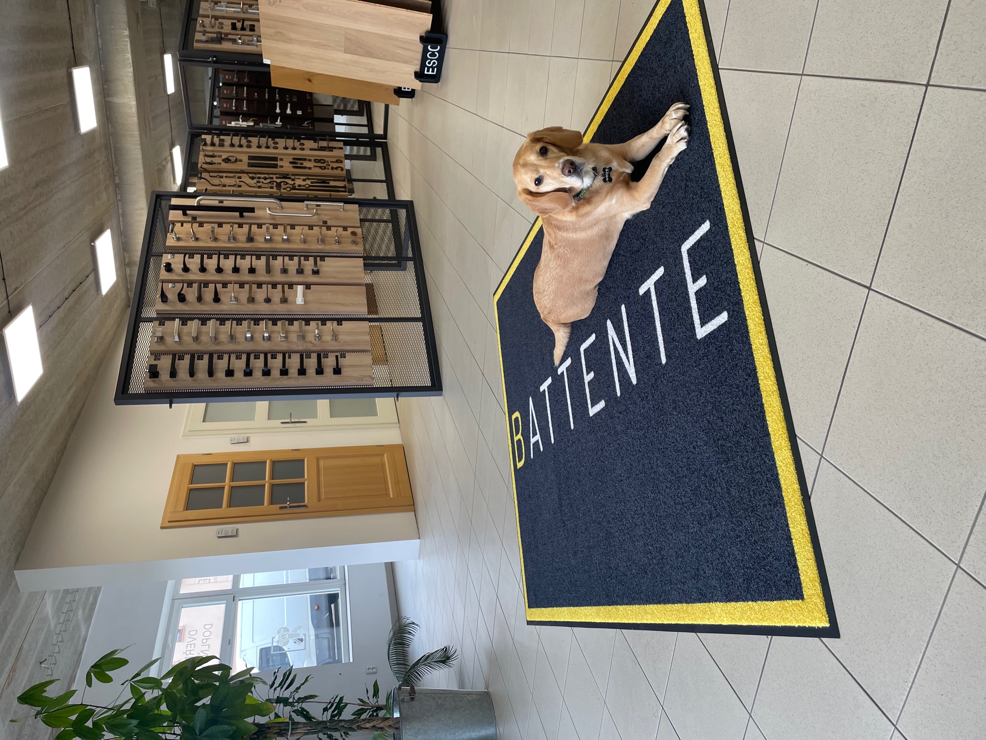 logovkoberci.cz foto 6