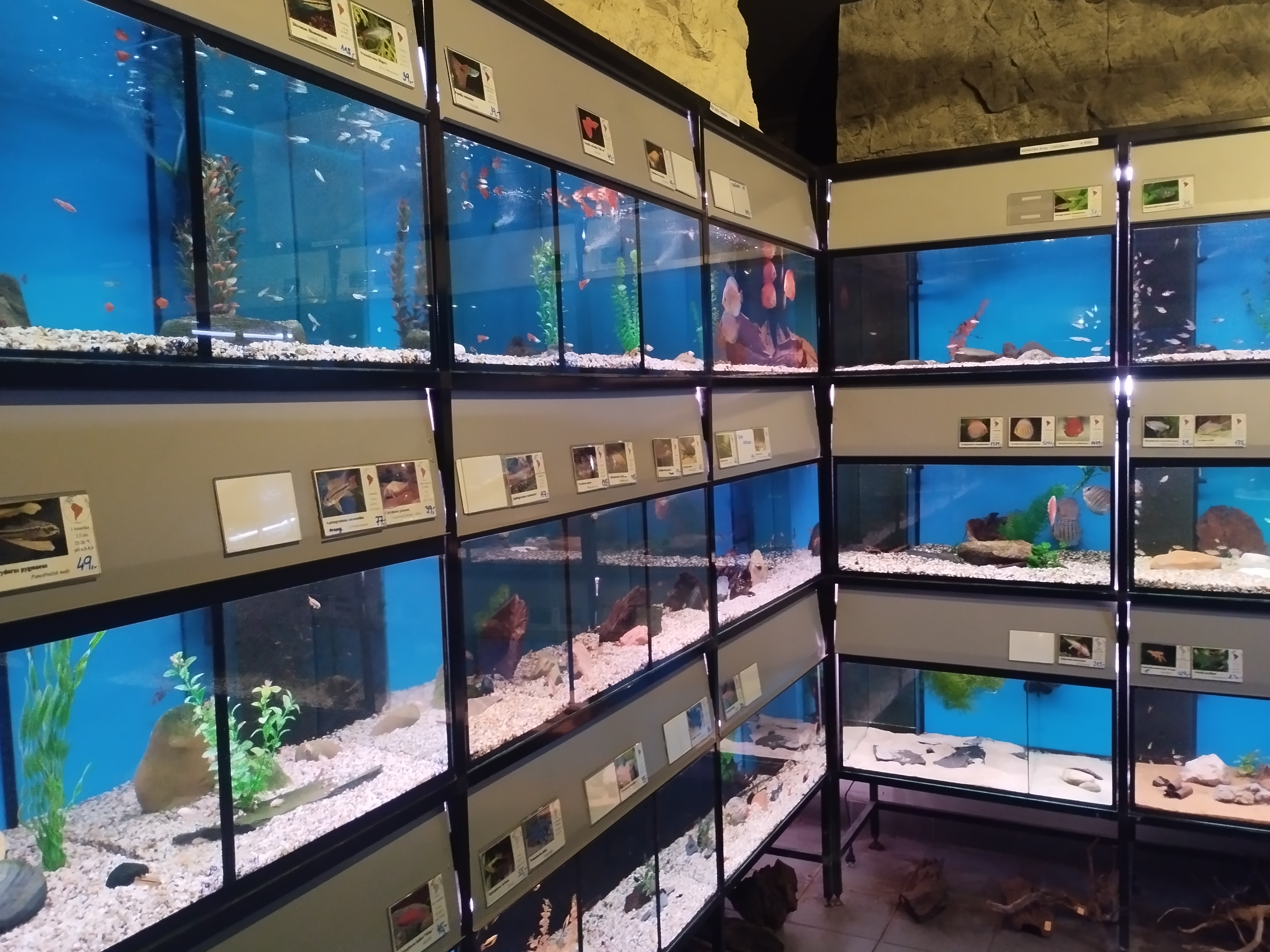 Sklorex-akvarium.cz foto 2