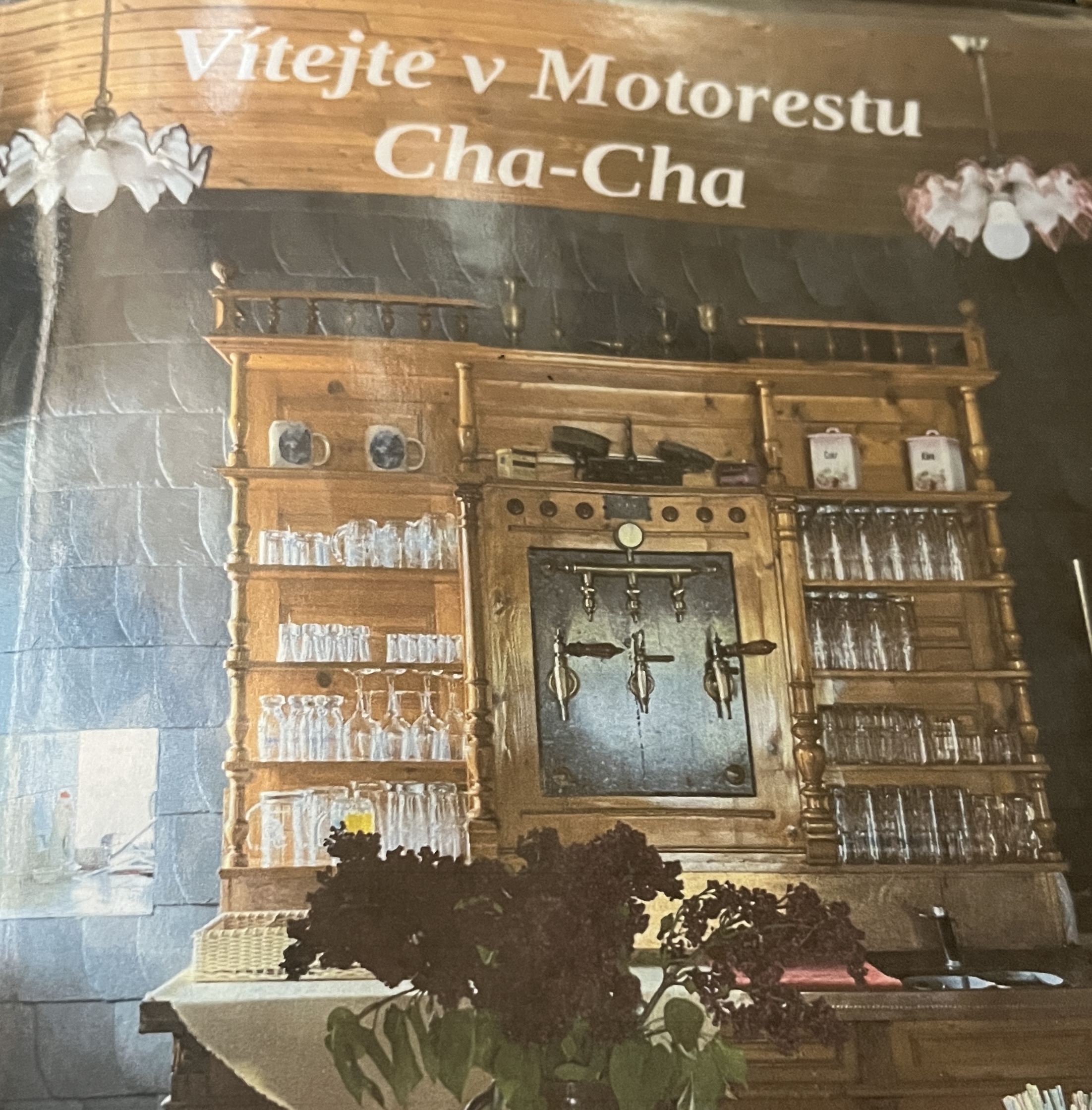 Motorest Cha-Cha foto 3