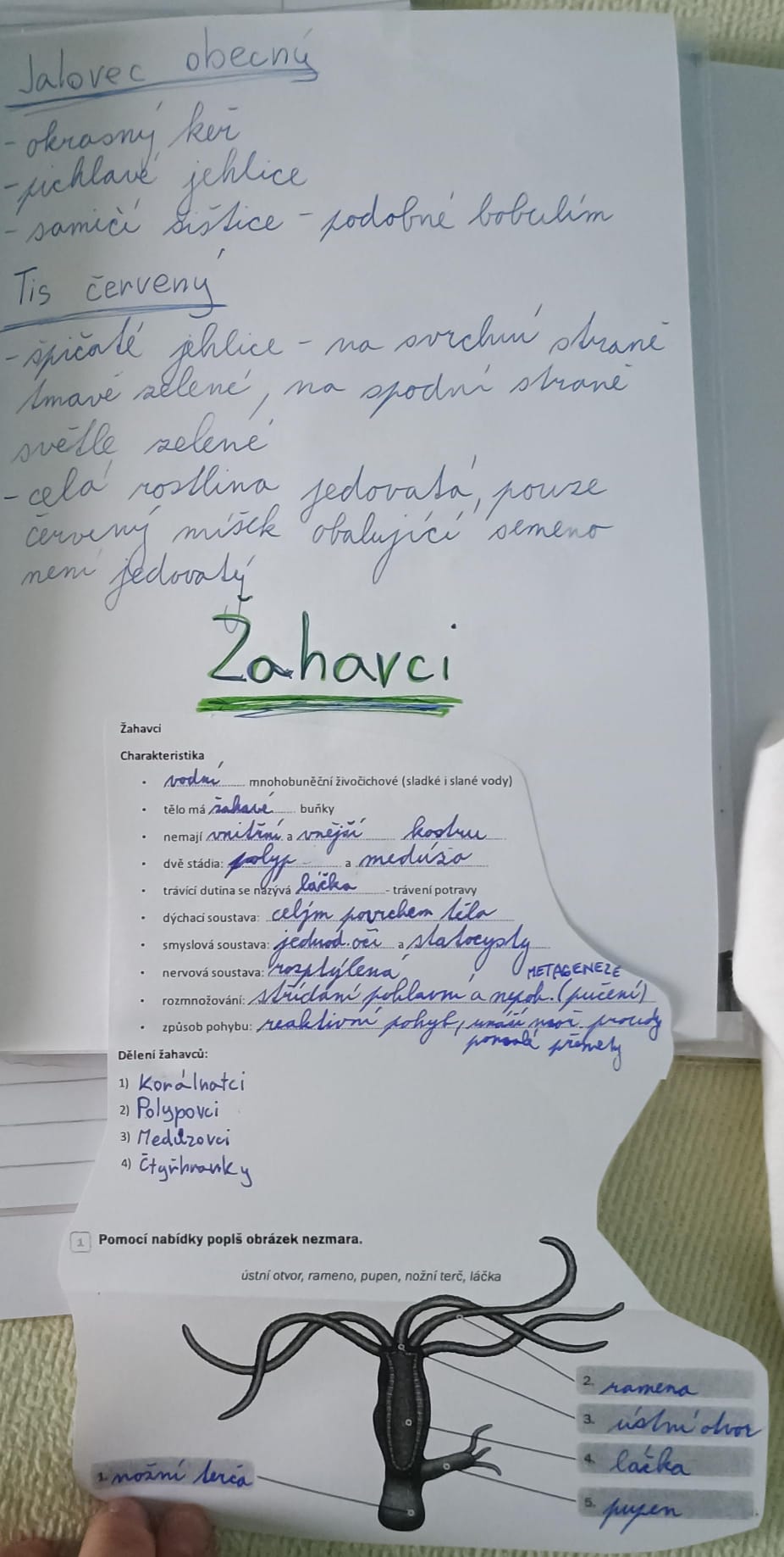 ZŠ Zábřeh, Severovýchod foto 3