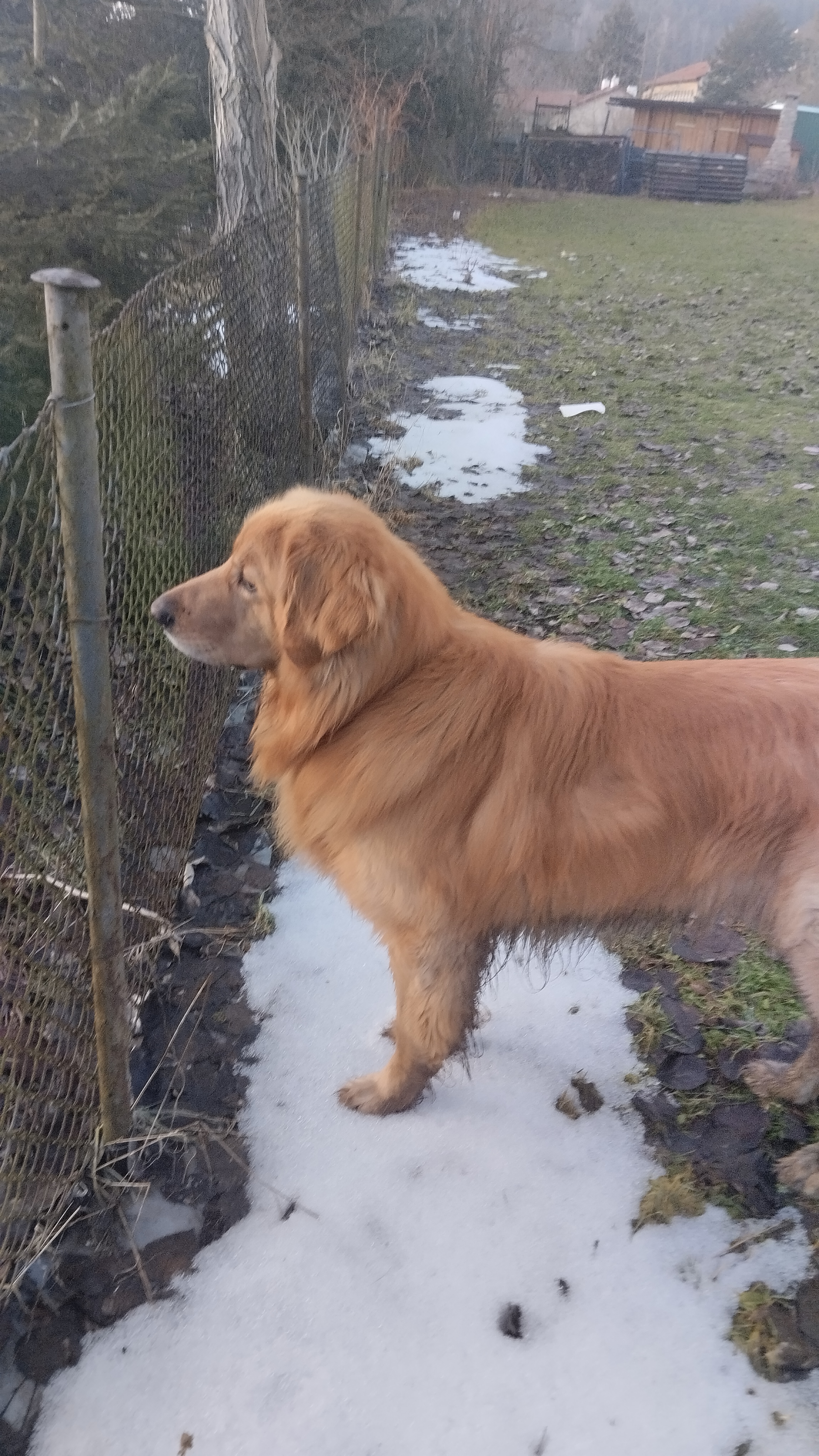 Horská veterinární klinika foto 4