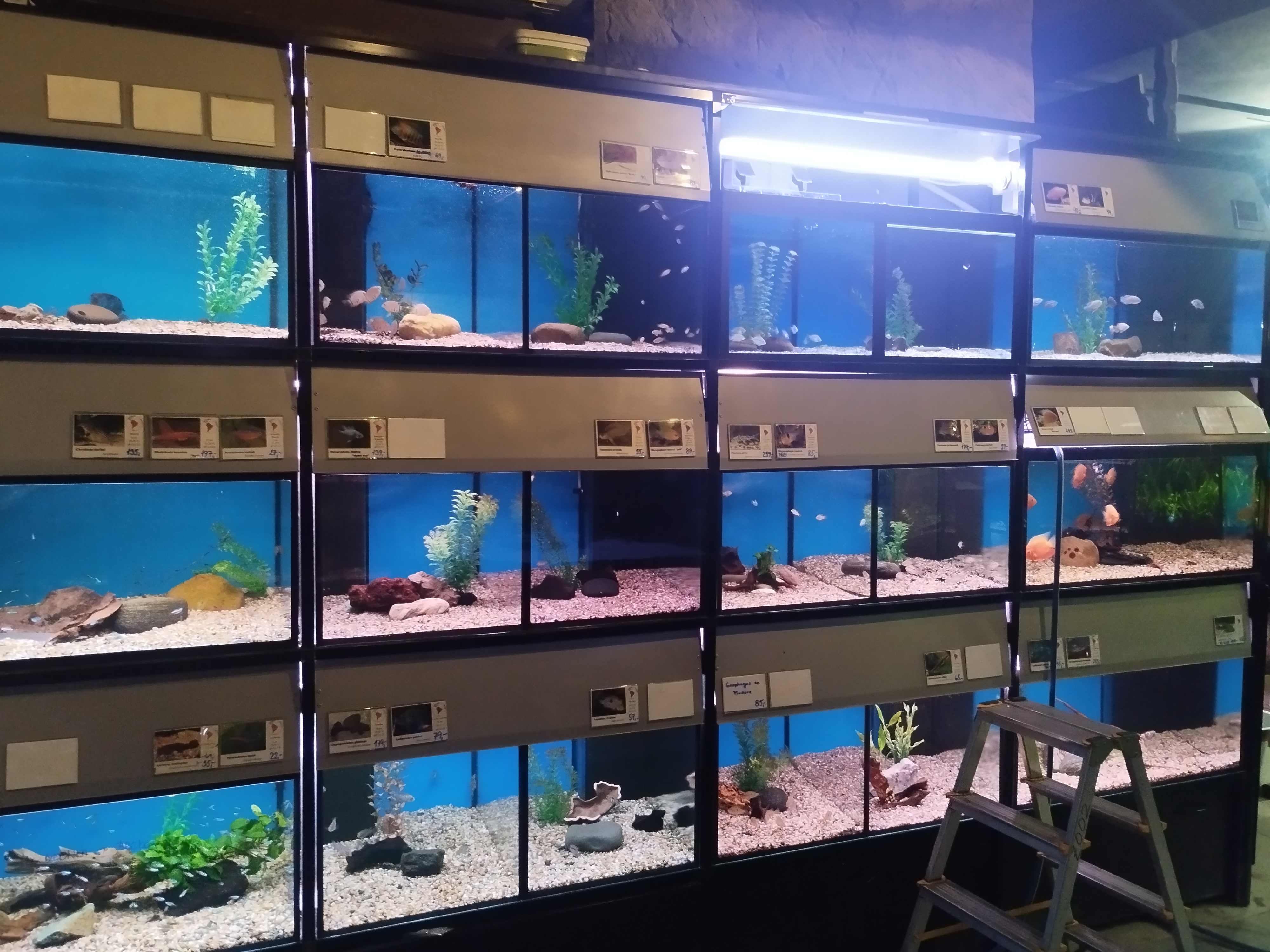 Sklorex-akvarium.cz foto 3