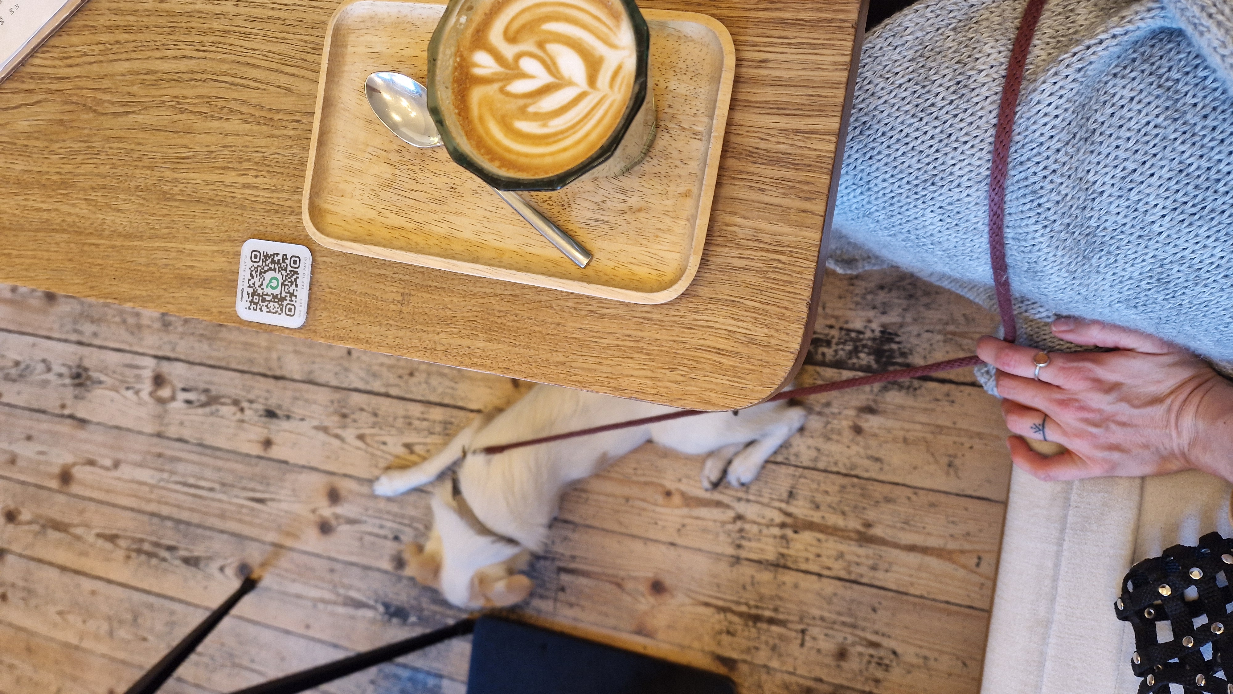 Srnky Smíchov foto 6