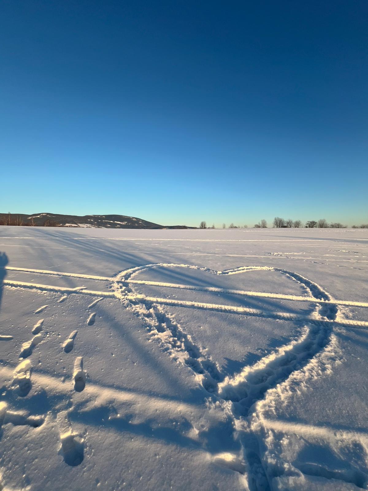 Ski rental and service Mgr. Jiří Honců foto 6