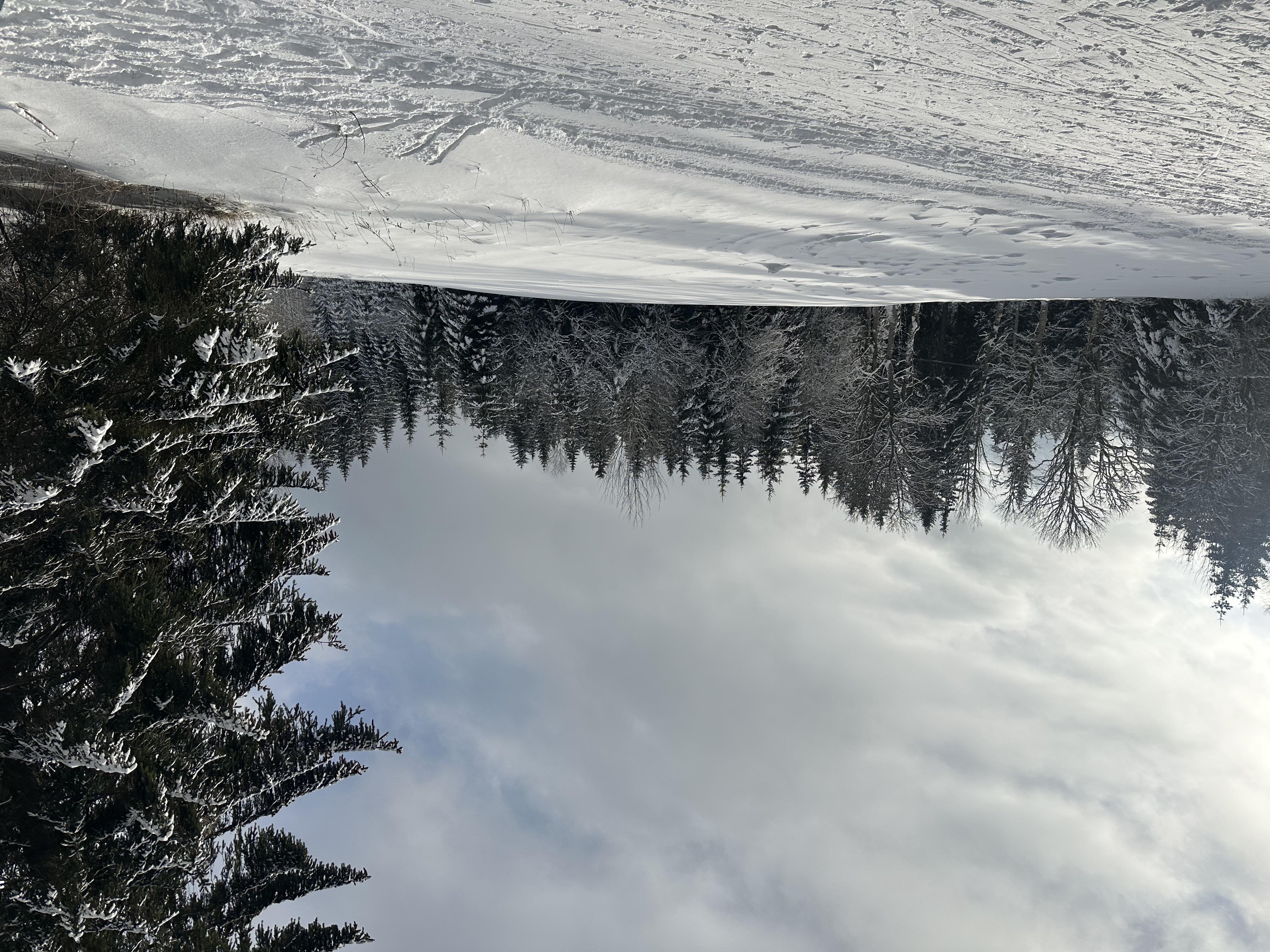Hotel a Pivovar Belveder Železná Ruda, s.r.o. foto 4
