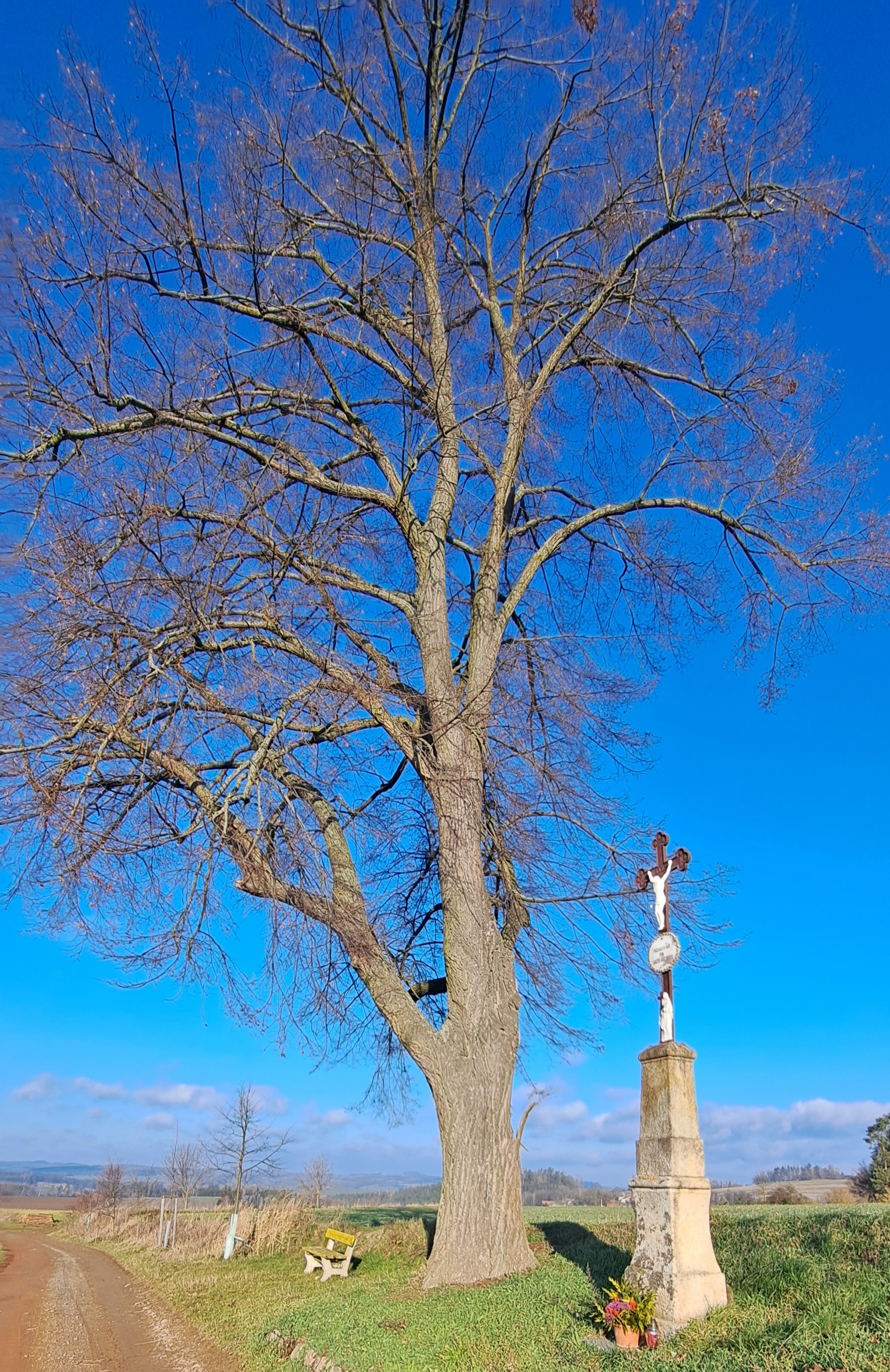 Rehabilitační ústav Kladruby foto 1