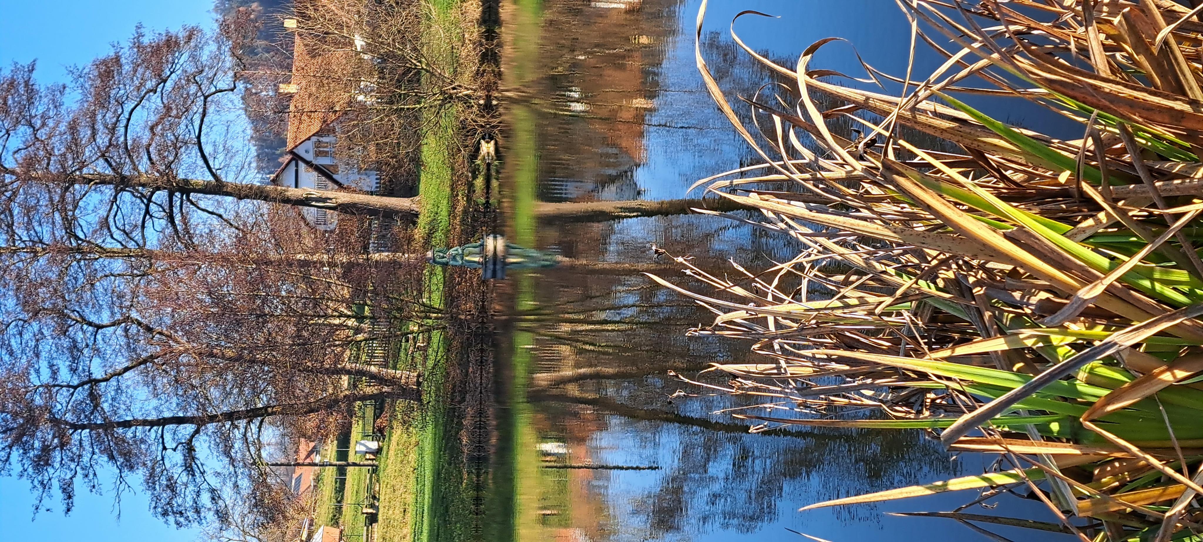 Rehabilitační ústav Kladruby foto 5