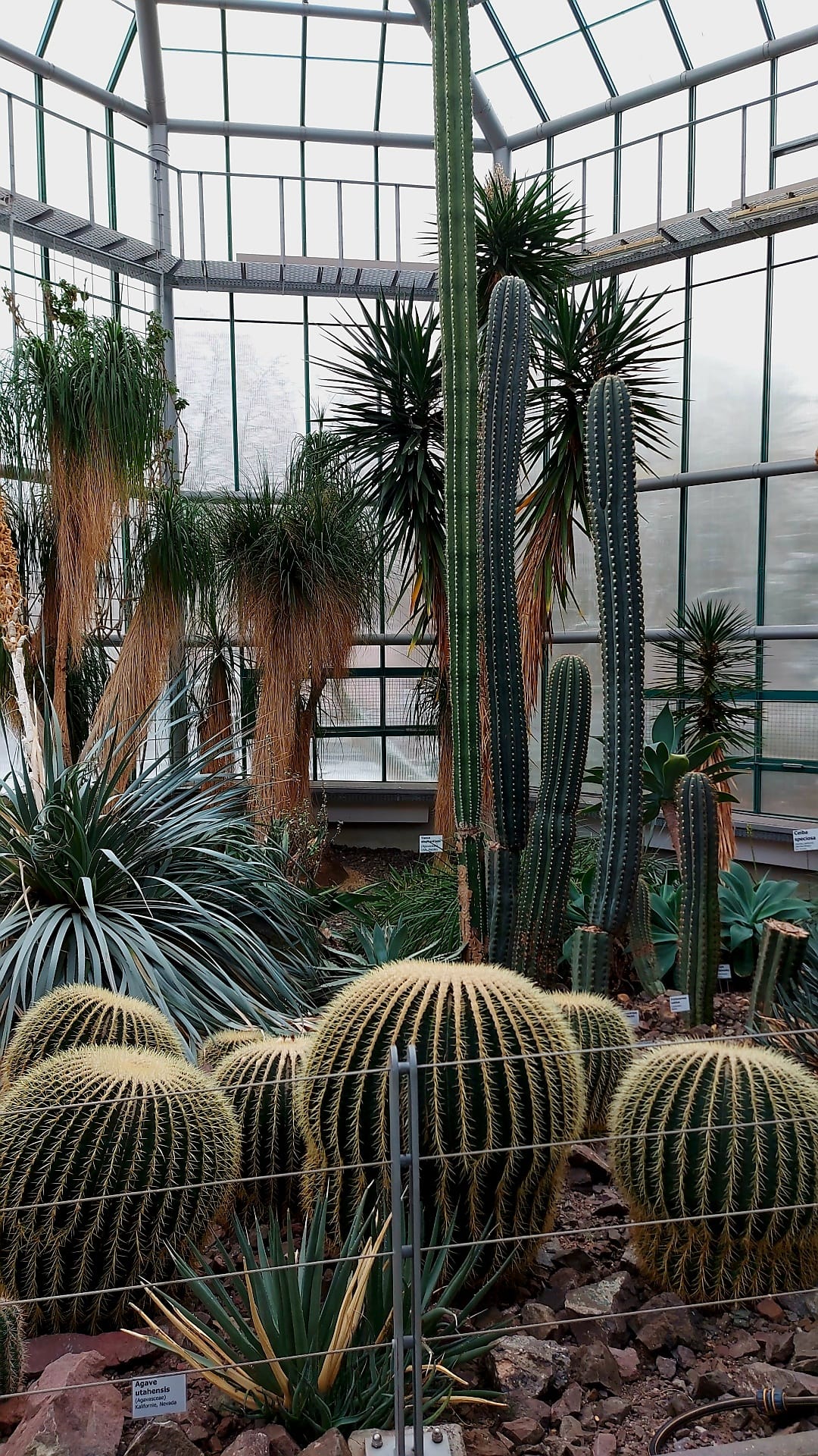 Botanická zahrada Liberec foto 6