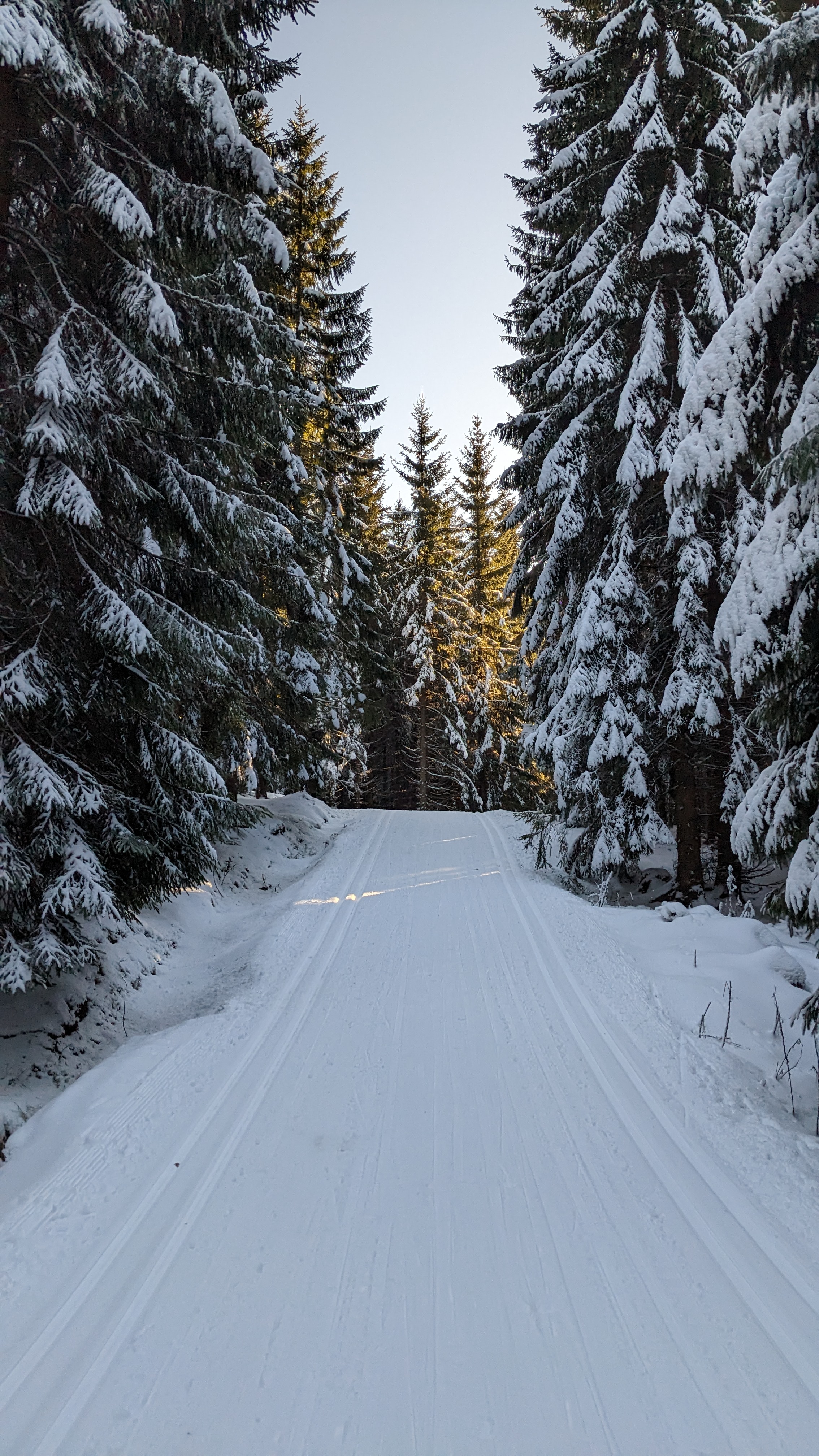 Penzion Vital foto 4