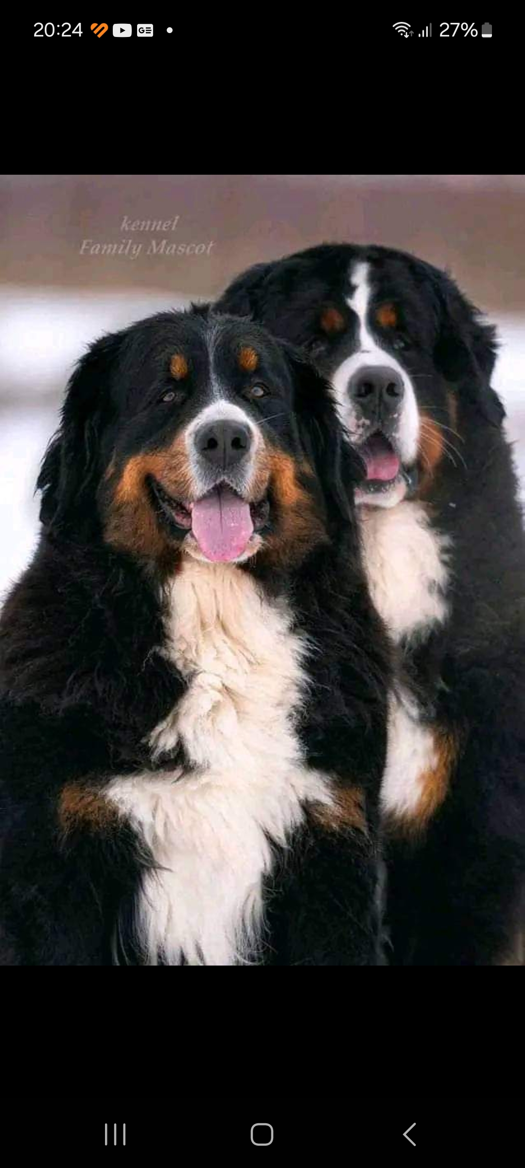 Veterinární klinika VETOPET foto 5