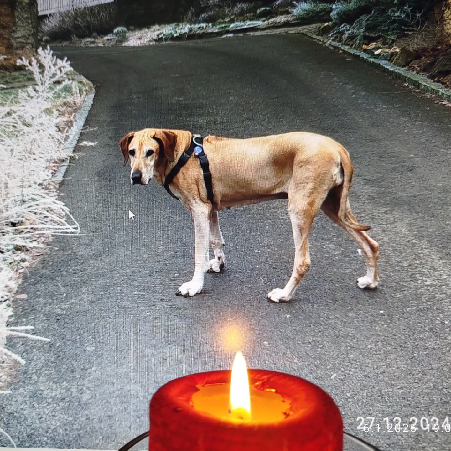 Veterinární klinika Zvířecí doktor foto 6