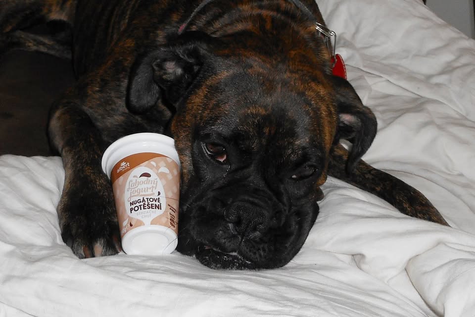 Veterina V.I.Pet foto 2