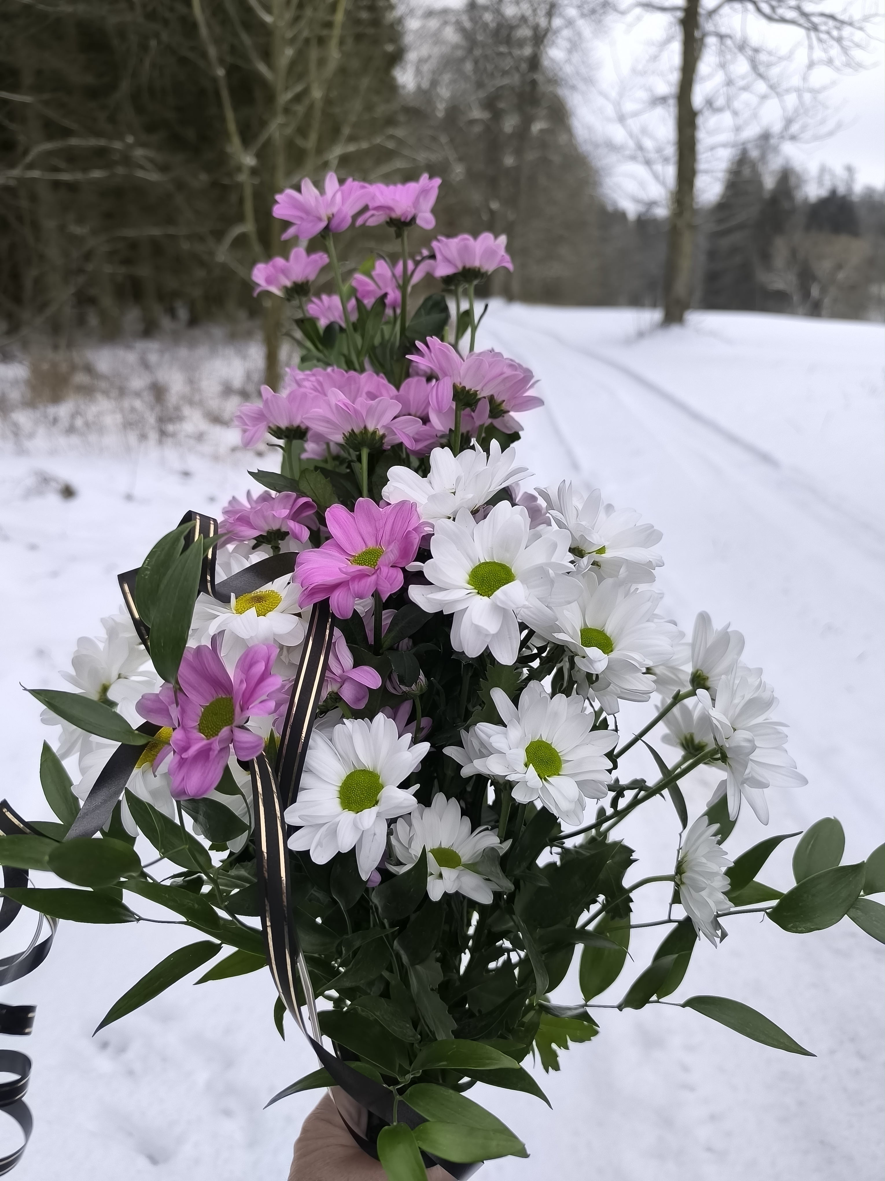 Venclovo zahradnictví foto 2