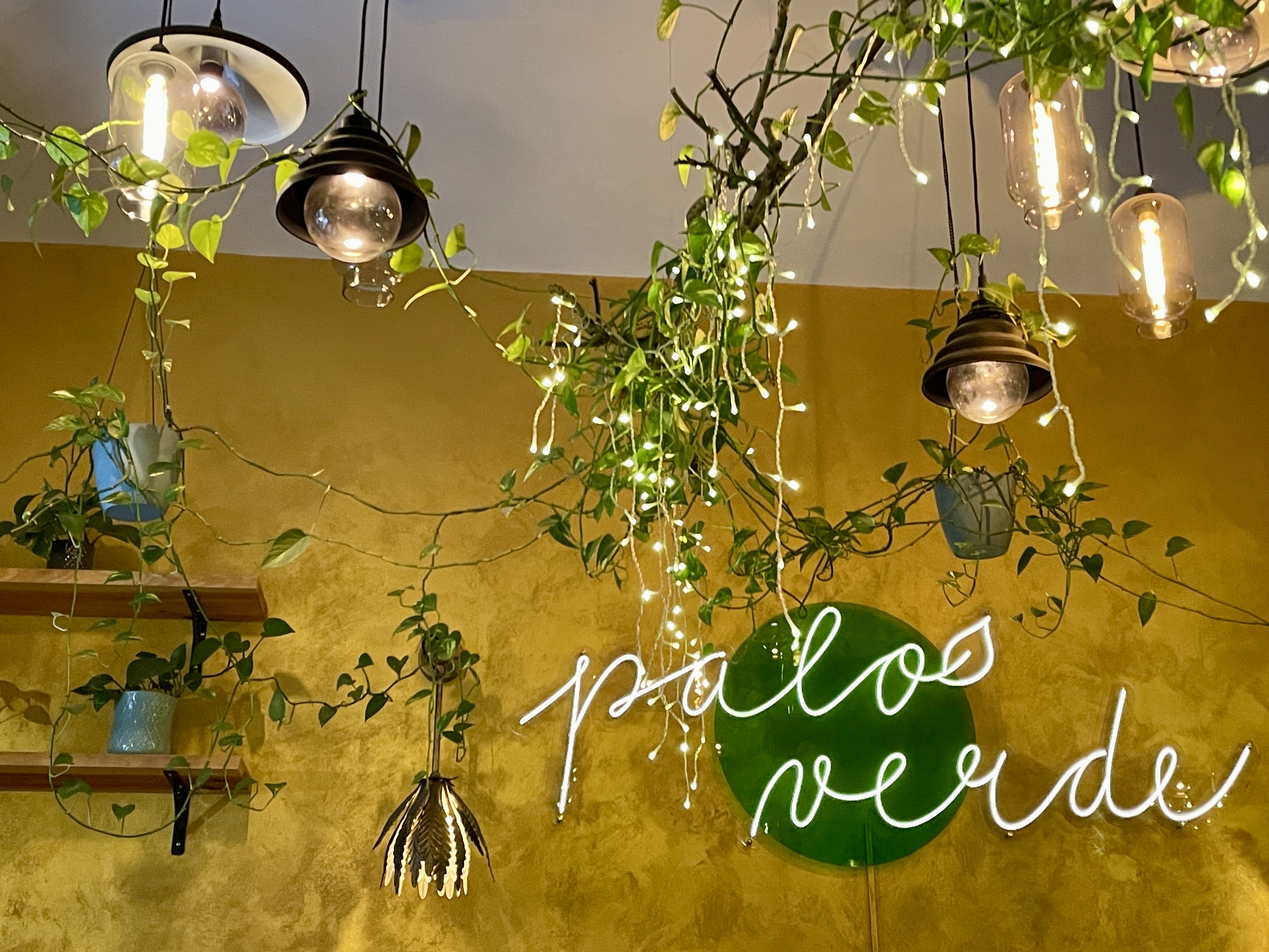 Palo Verde Bistro foto 3