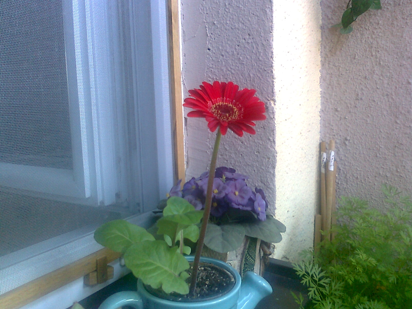 LAPET gastro, s.r.o. foto 2