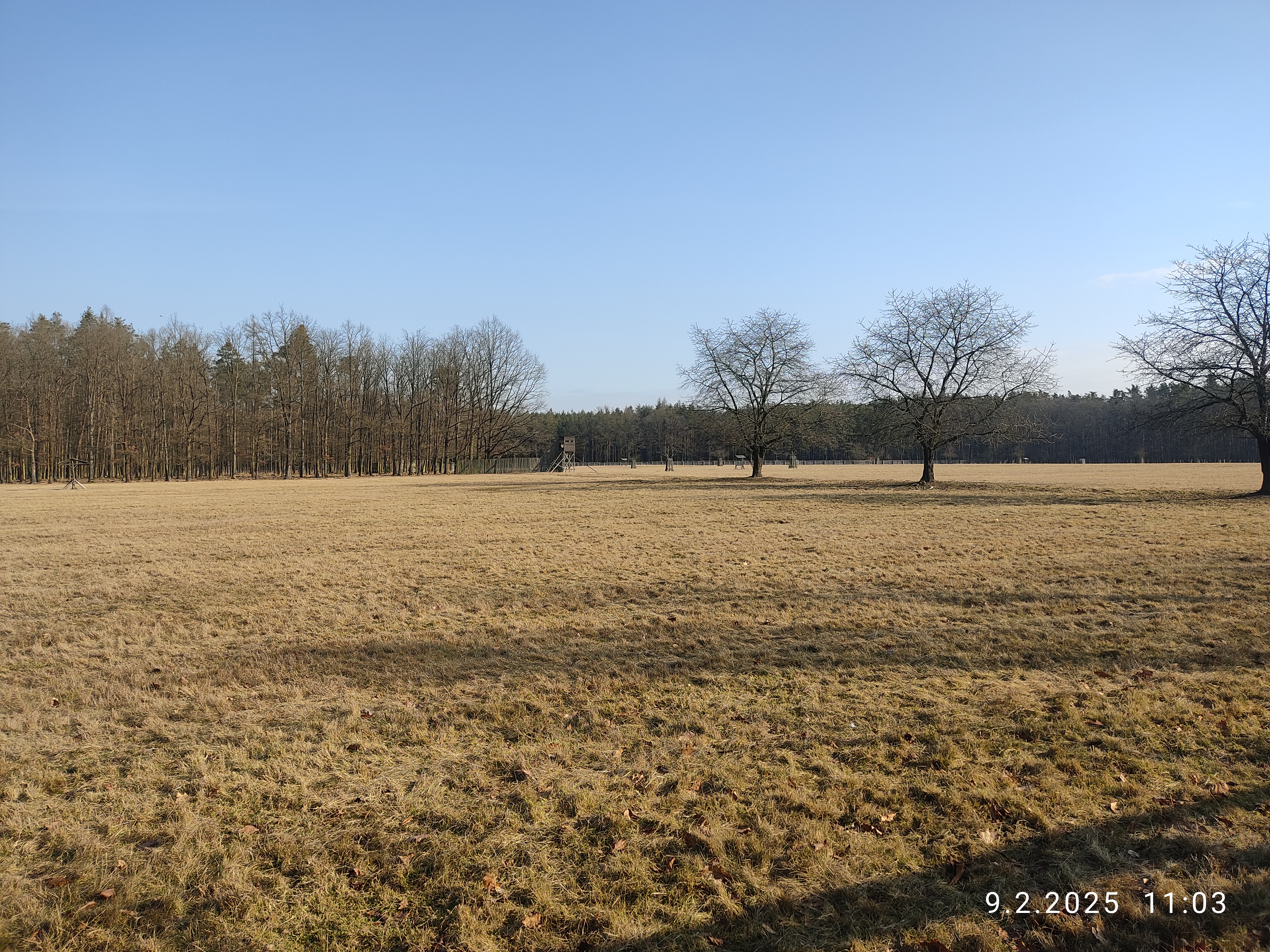 Lesní statek Bědovice foto 5