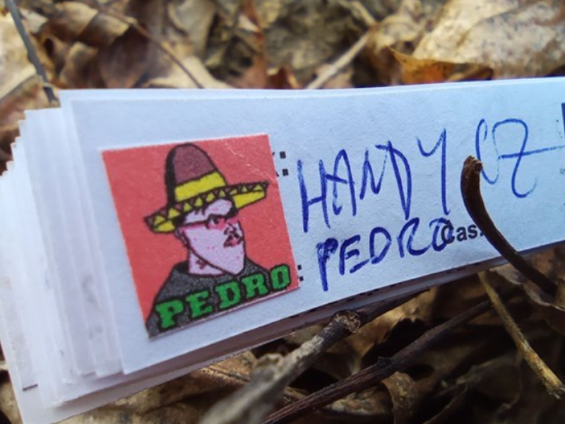 PEDRO foto 4