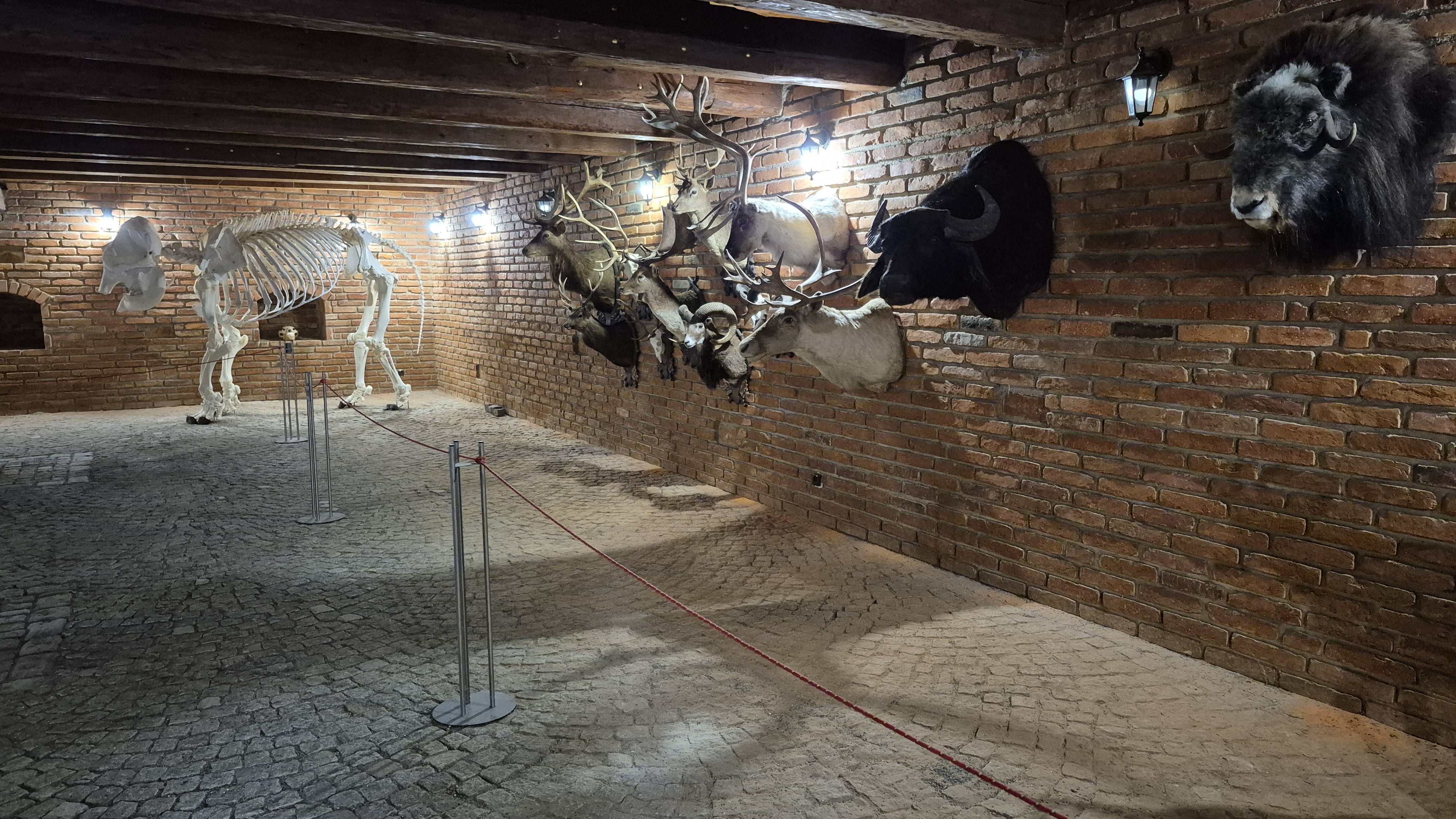 Rodinný zábavní park Bylandia foto 6