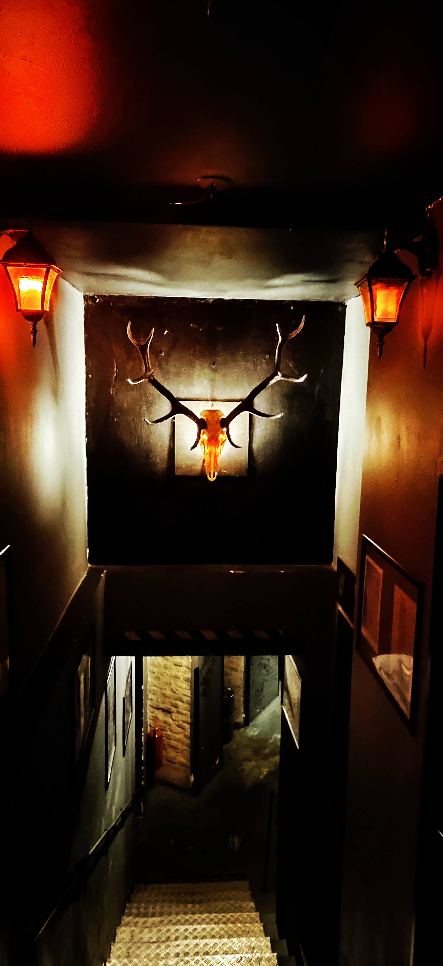 Midgard Bar foto 3