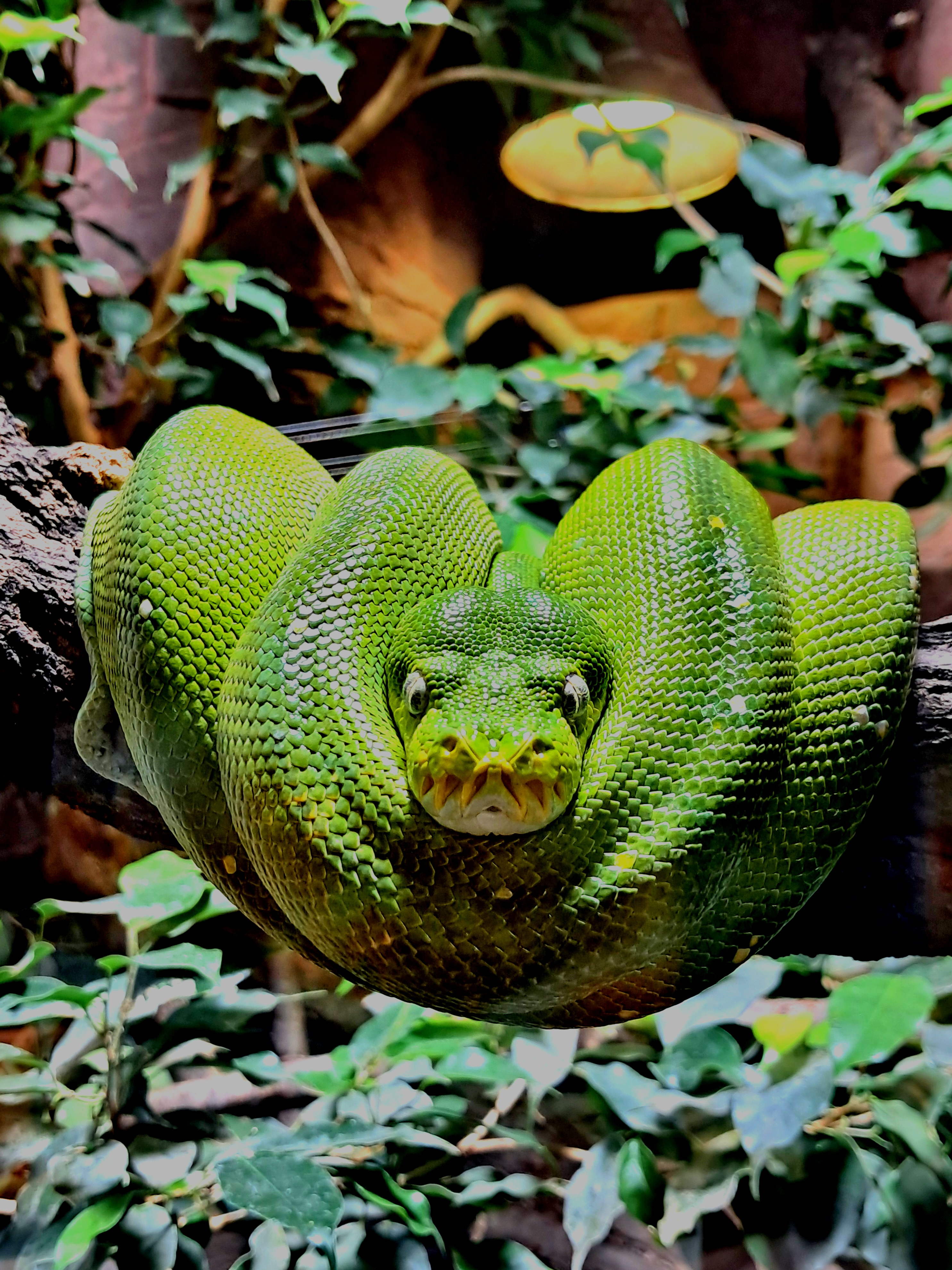 Akva Tera Zoo Plzeň foto 2