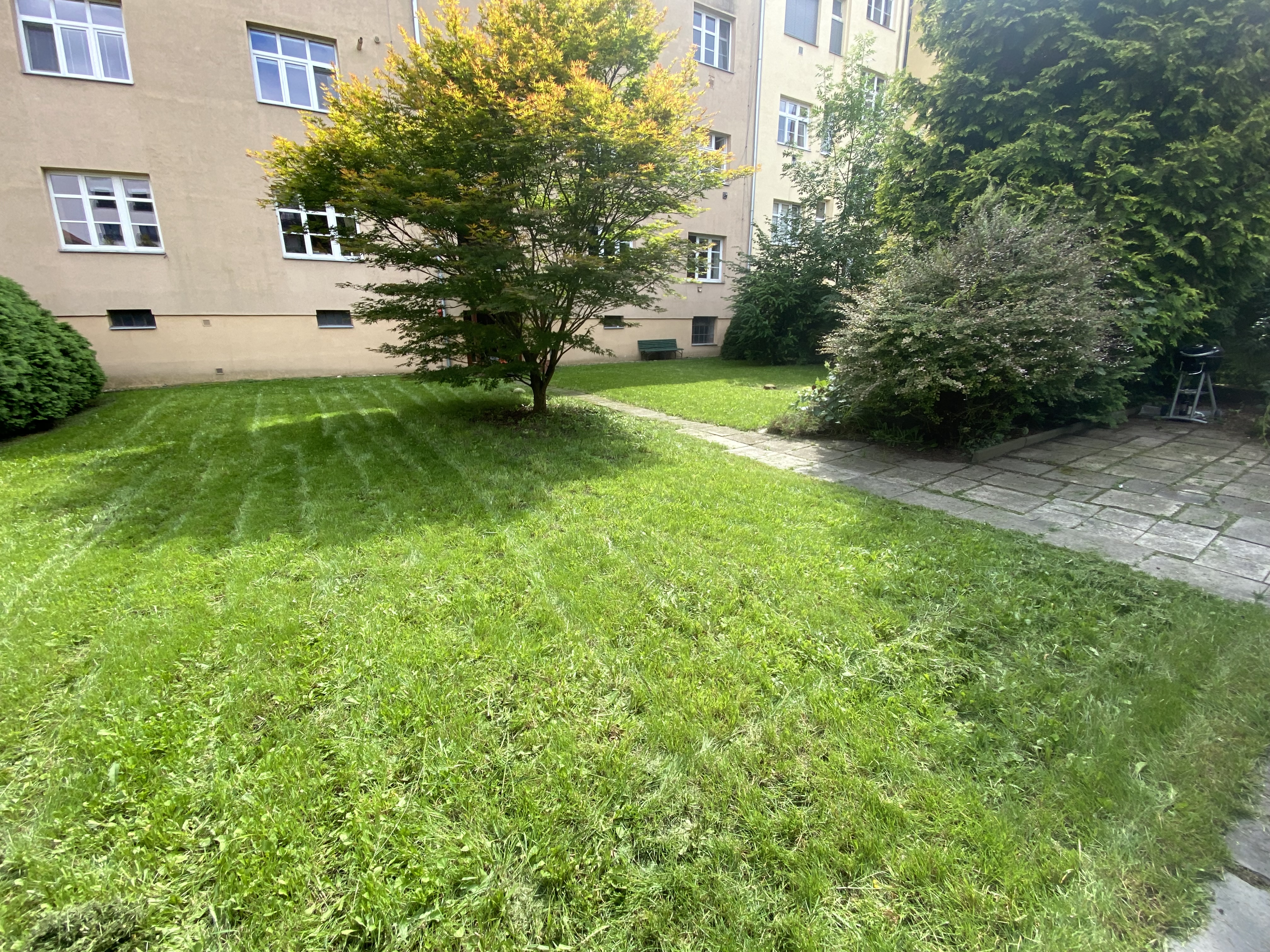 ArboMorava foto 5