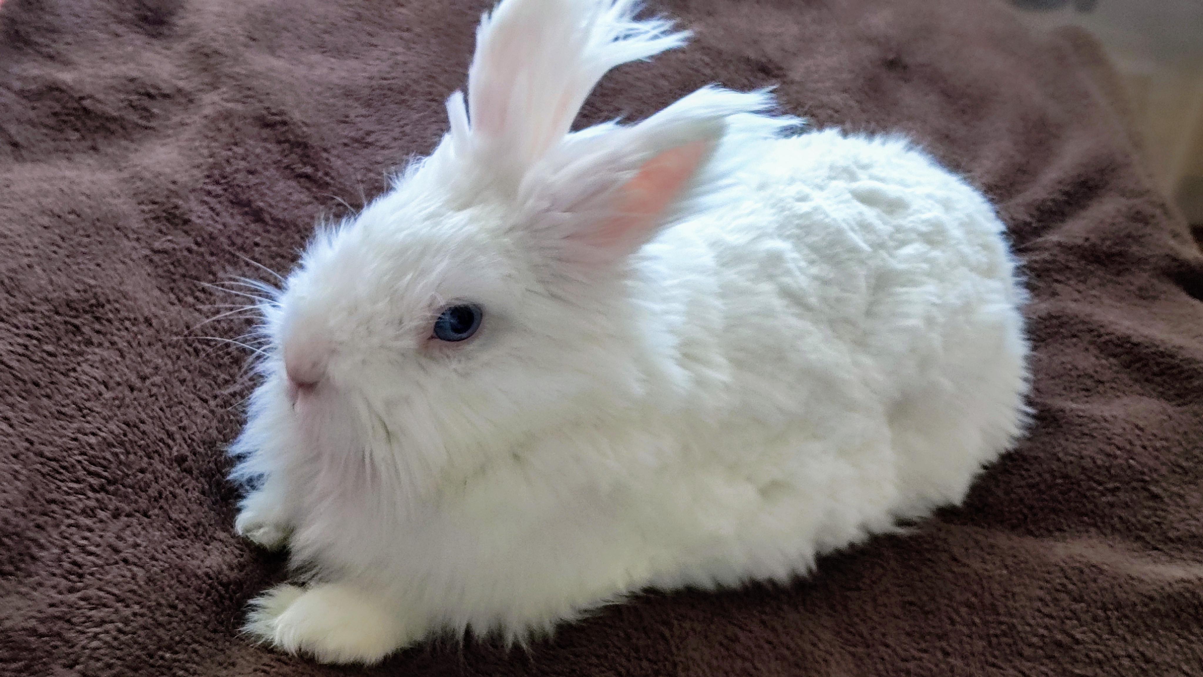 Veterinární klinika Sokolníky foto 2
