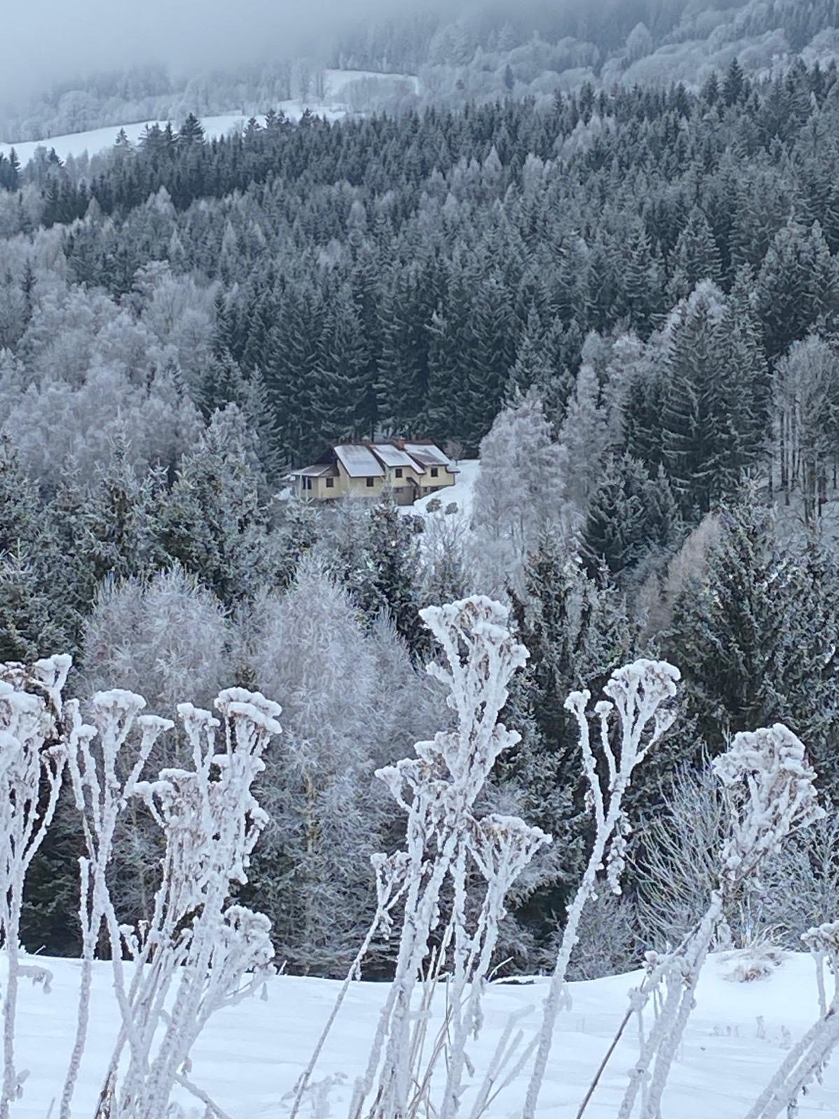 Chata Orlík - Dolní Morava foto 4