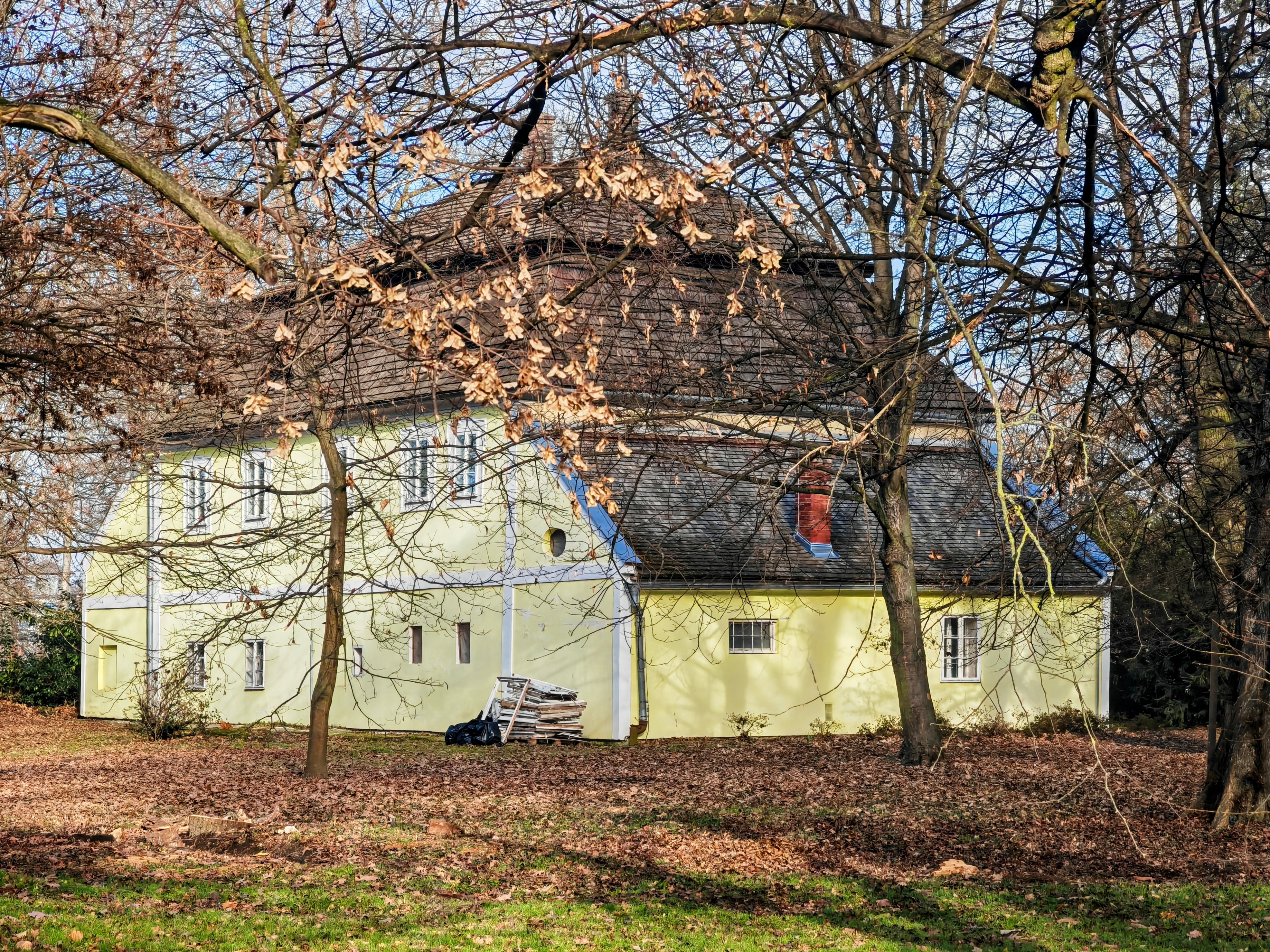 V parku foto 6