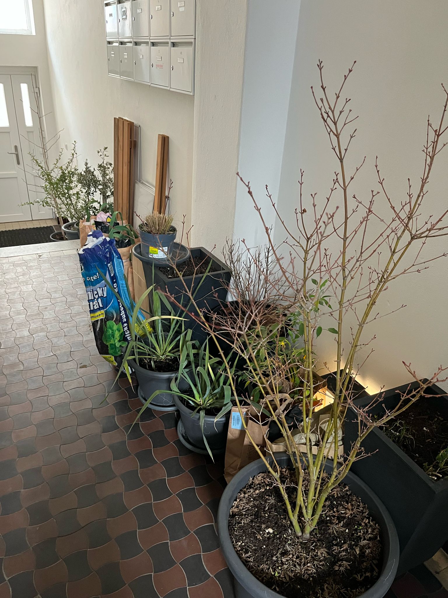 Stěhování Autodoprava DNES foto 2