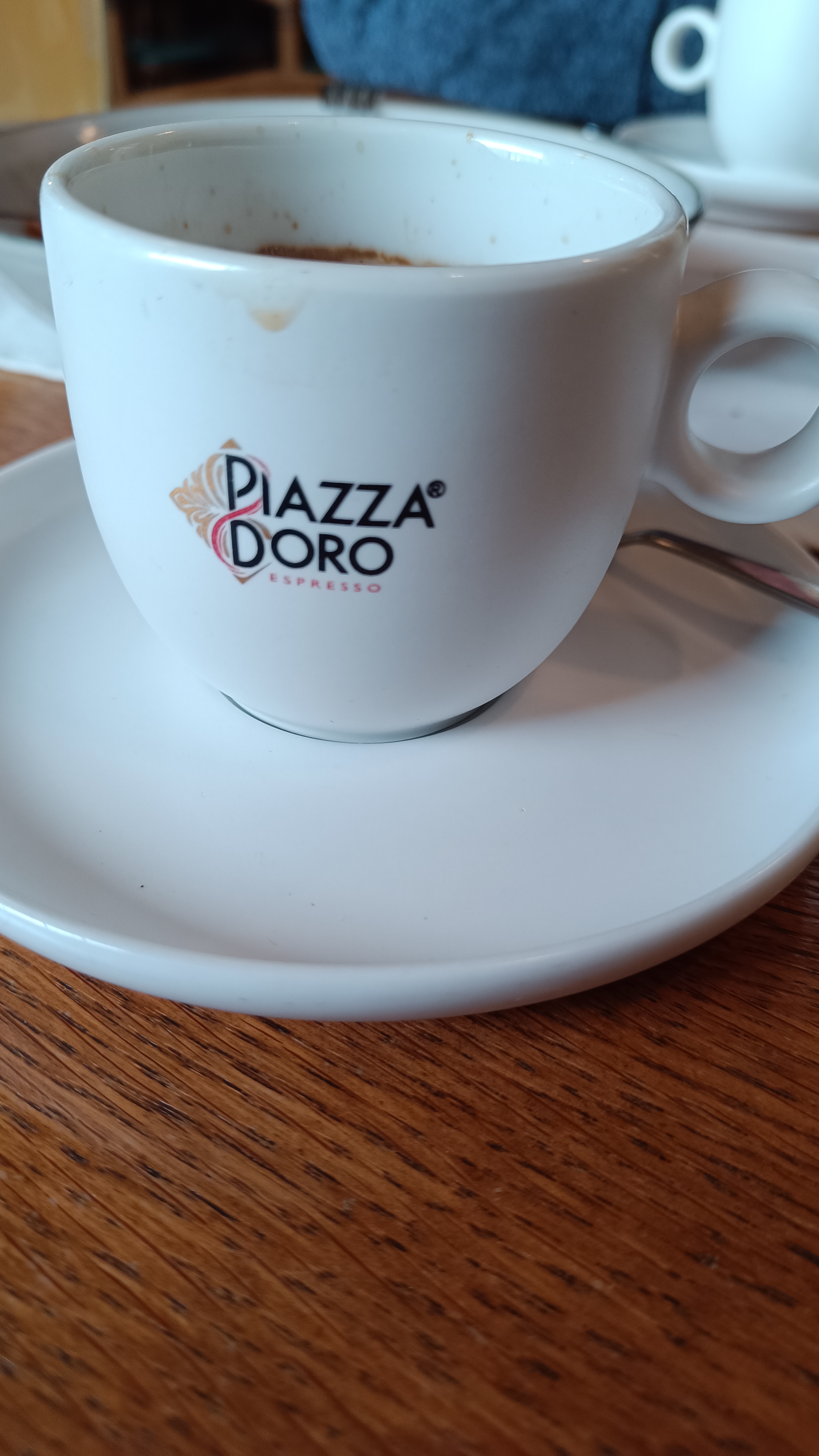 Švejk restaurant U Zeleného stromu foto 6