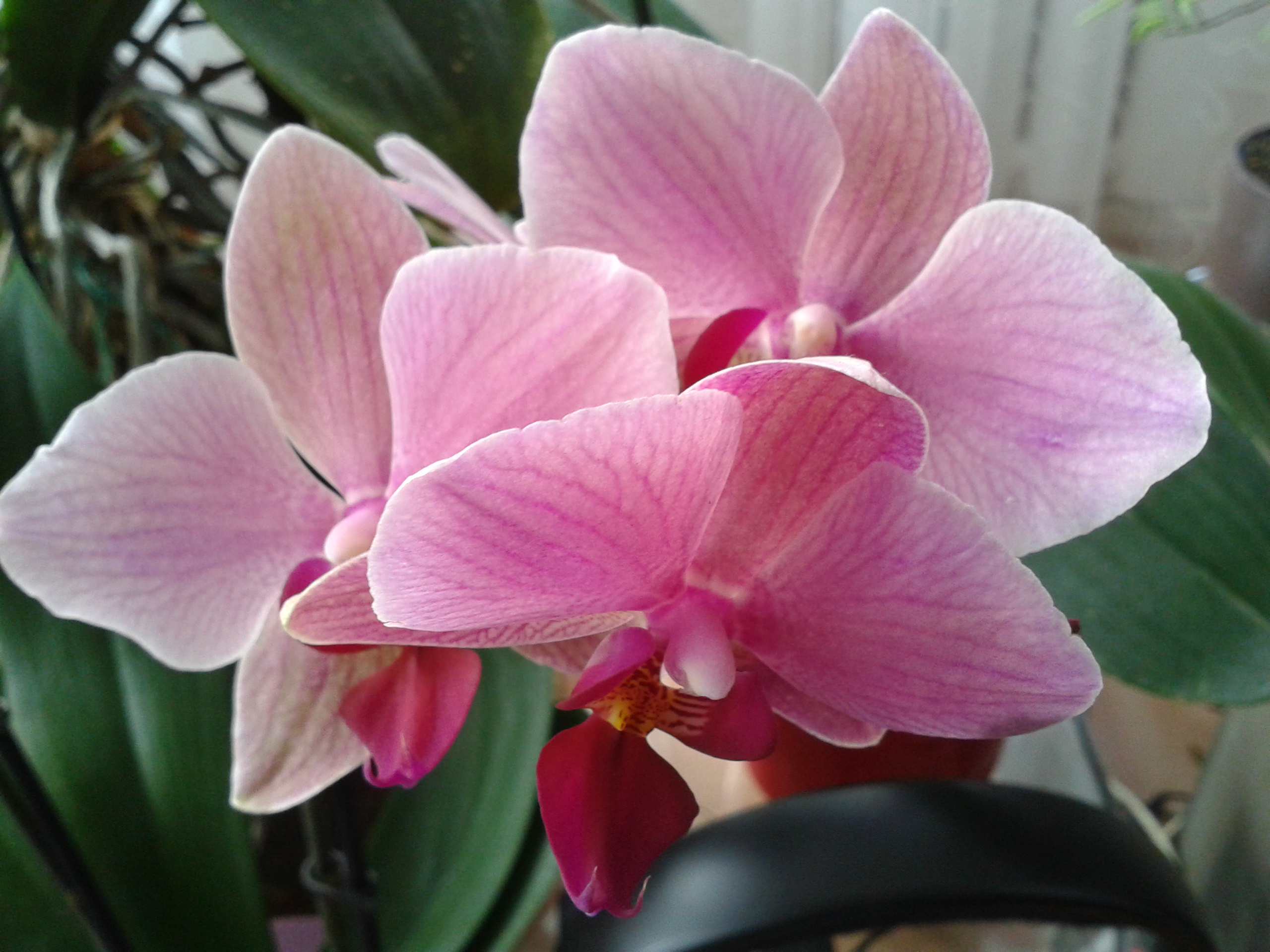 Nemocnice AGEL Valašské Meziříčí, a.s. foto 4