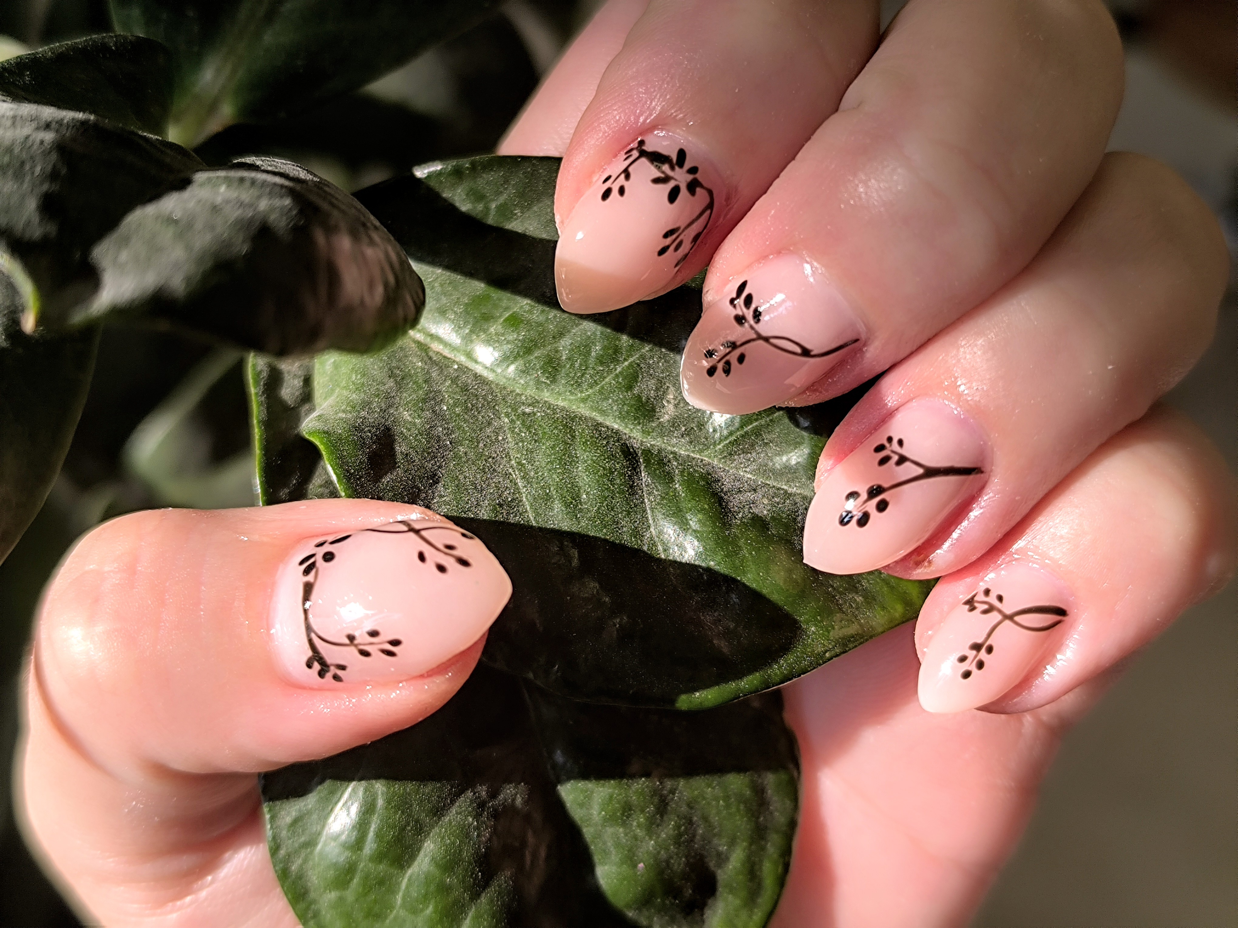 Anička Nails - Thi Kieu Thu Nguyen foto 3