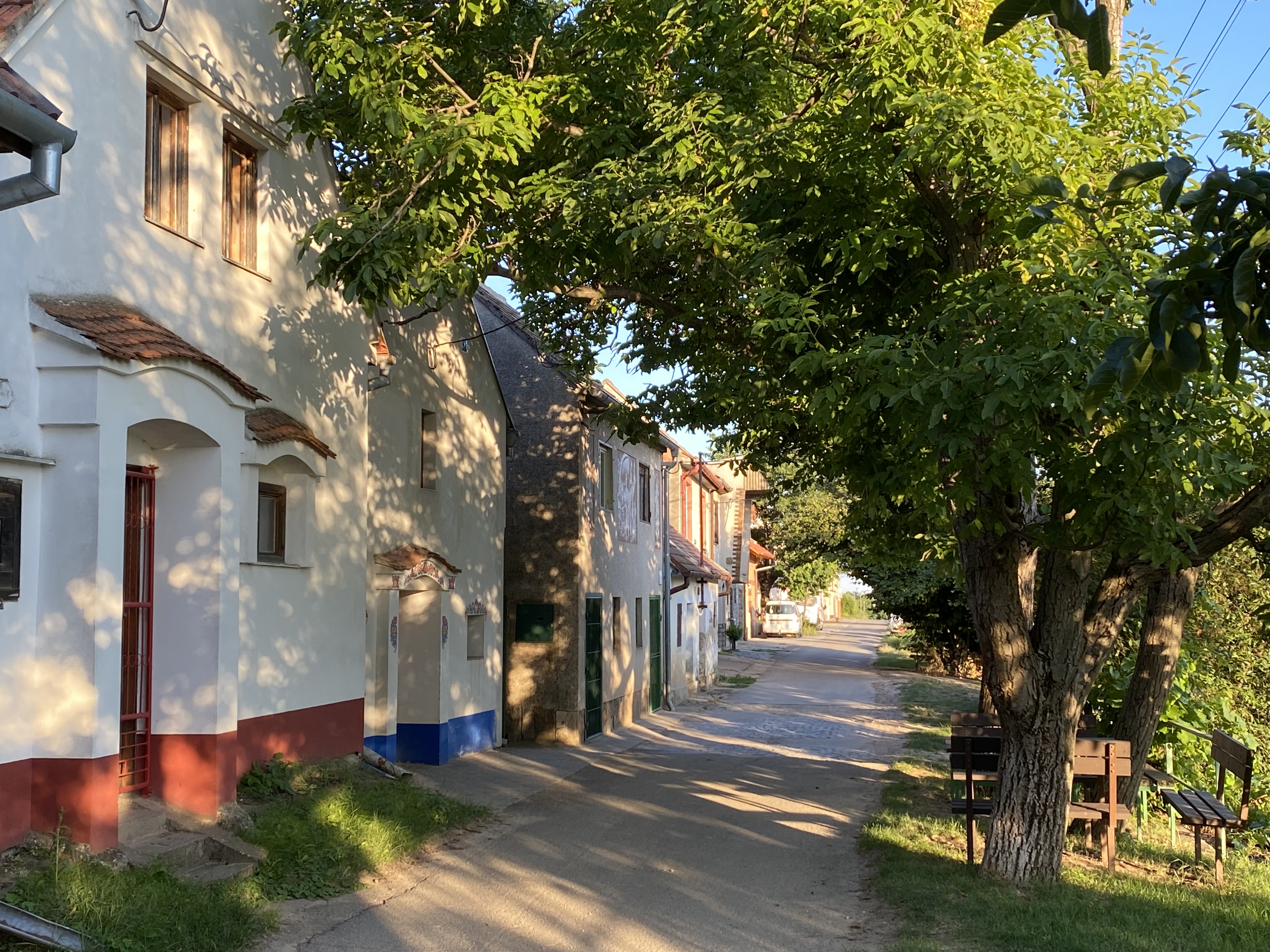 Apartmán Králíček na vínné stezce foto 3